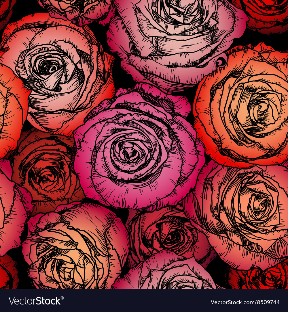 Rose - HD Wallpaper 