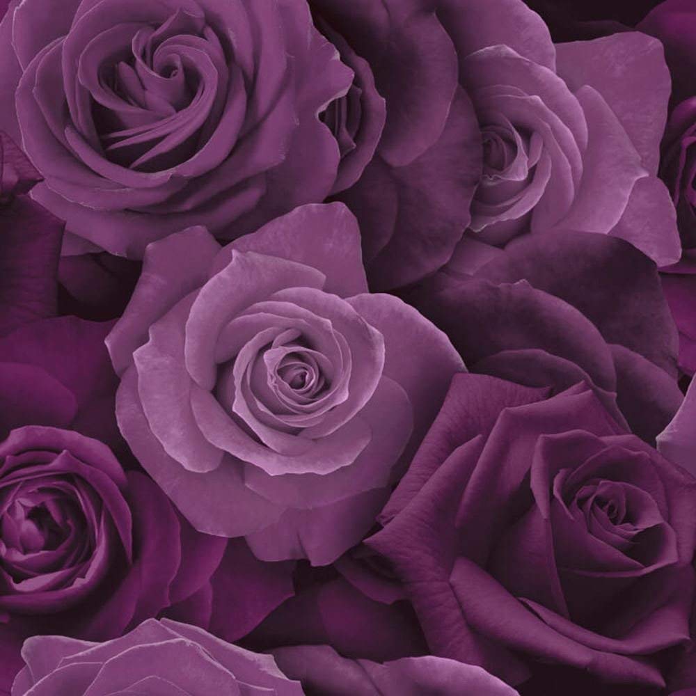 Austin Rose Wallpaper Purple Arthouse - Roses - HD Wallpaper 