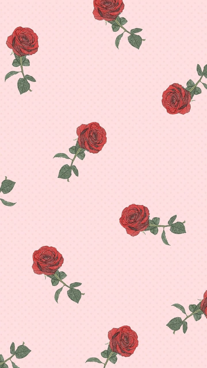 Wallpaper, Rose, And Pink Image - Iphone Aesthetic Wallpaper Rose - HD Wallpaper 