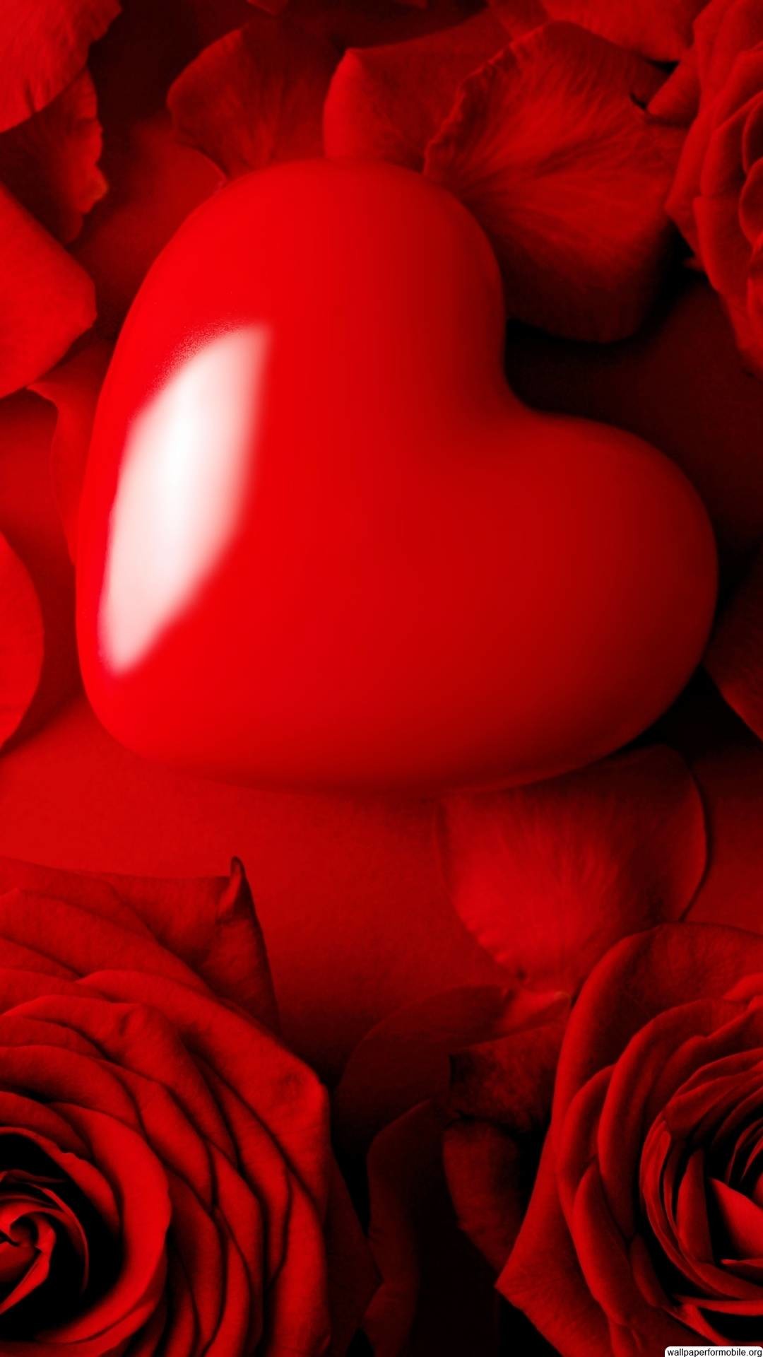 1080x1920, Http - Red Rose Love Wallpaper Hd - HD Wallpaper 