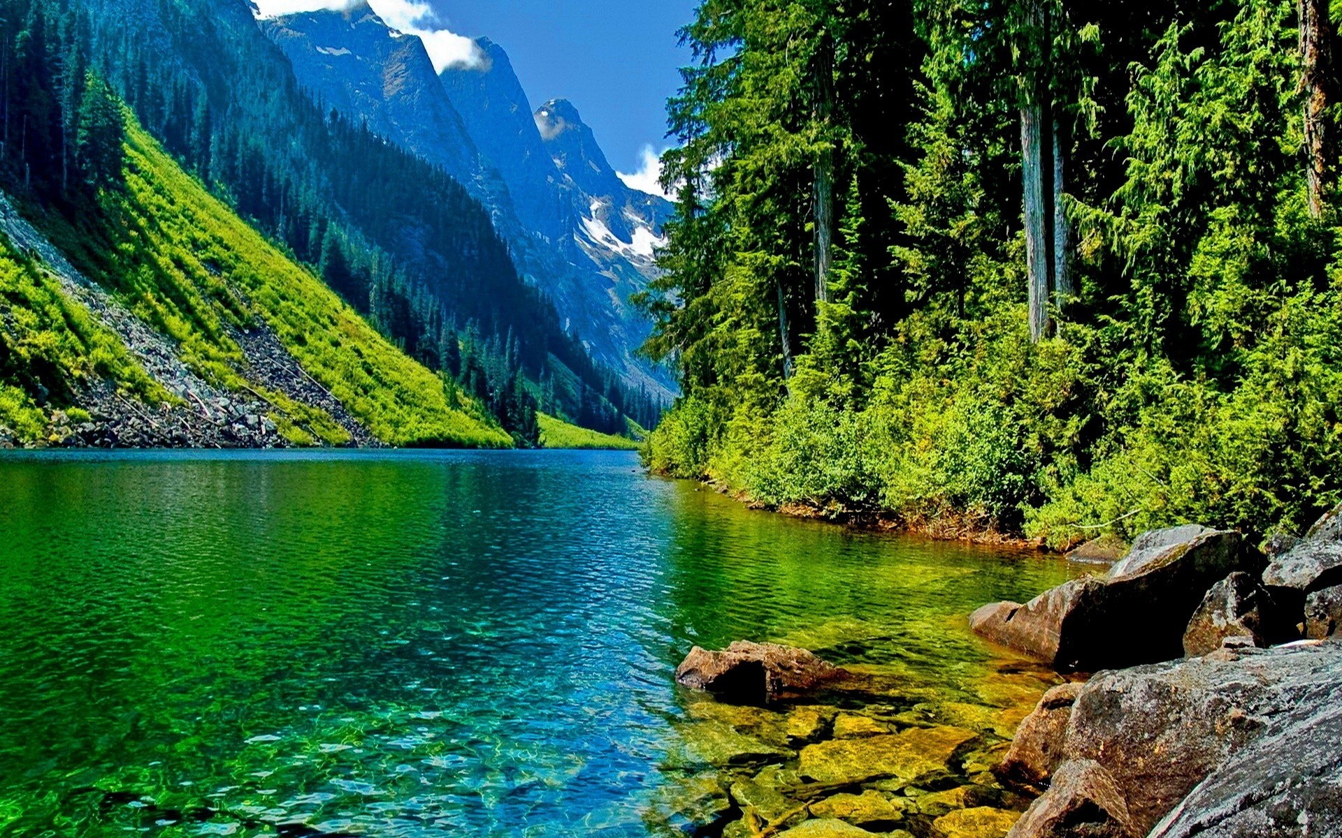 Beautiful Landscape Mountain River Hd Desktop Wallpaper - Beautiful Mountain Forest Landscapes - HD Wallpaper 
