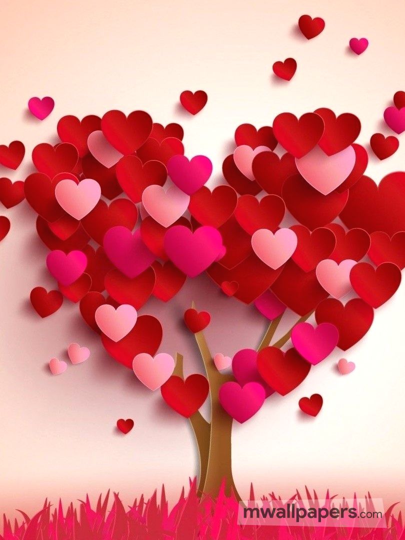Love Images (242) - Hd Love Wallpaper For Android Phone - 810x1080 Wallpaper Love Images (242) - Hd Love Wallpaper For Android Phone - 810x1080 Wallpaper