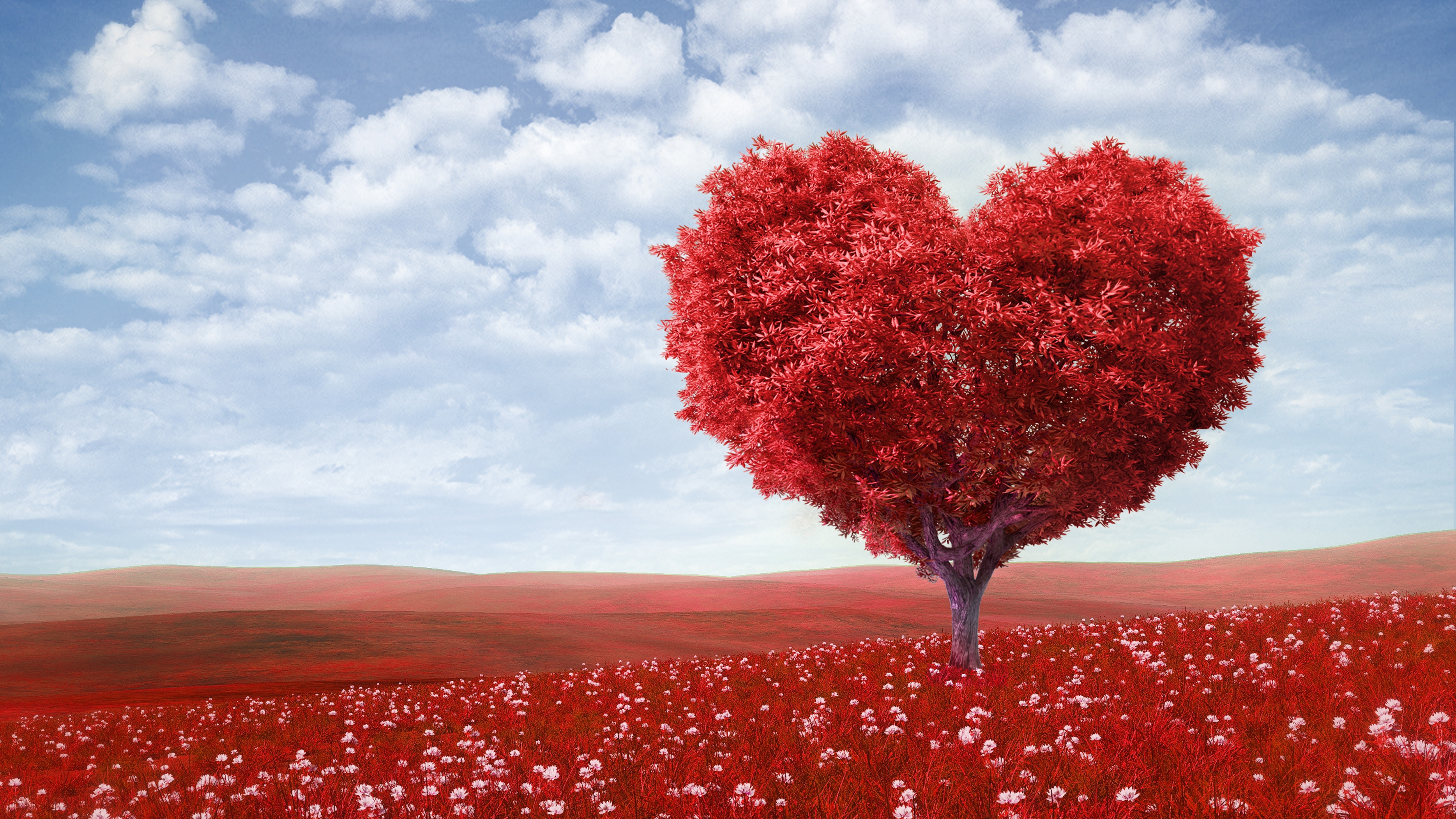 Love Wallpapers Hd - Love Heart Tree - HD Wallpaper 