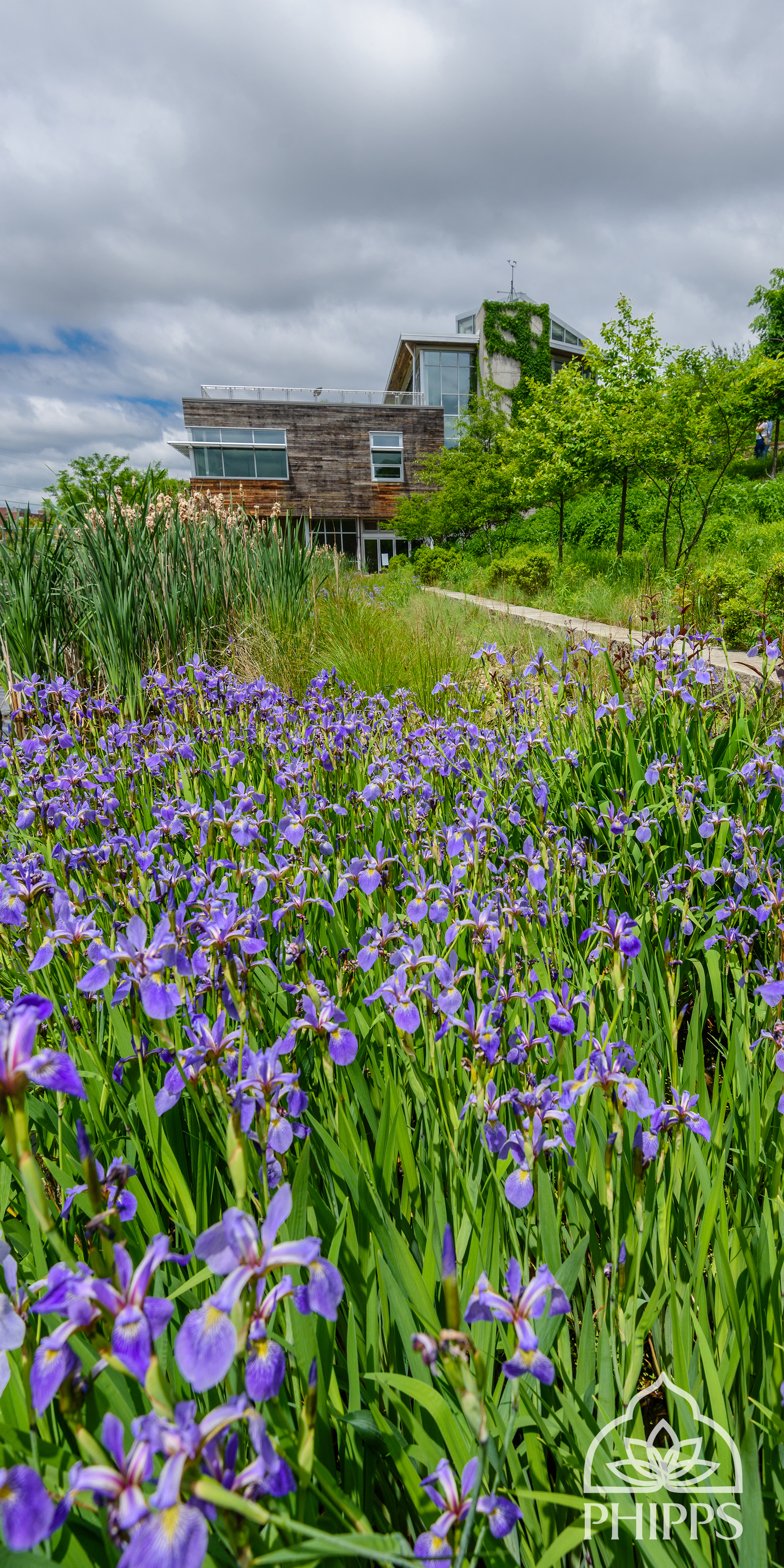 Sky Wallpaper For Mobile - HD Wallpaper 