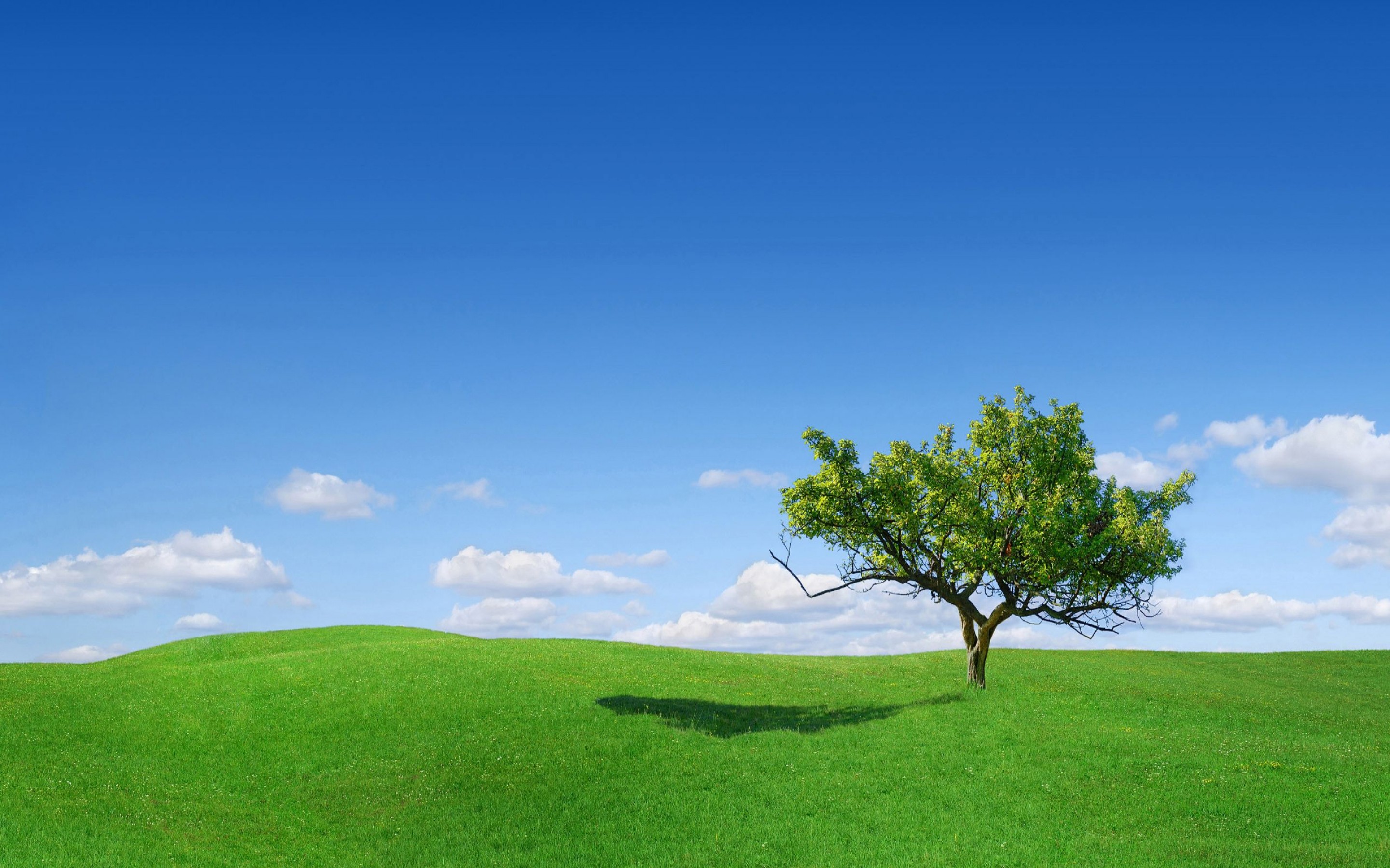 Beautiful Wallpapers - HD Wallpaper 