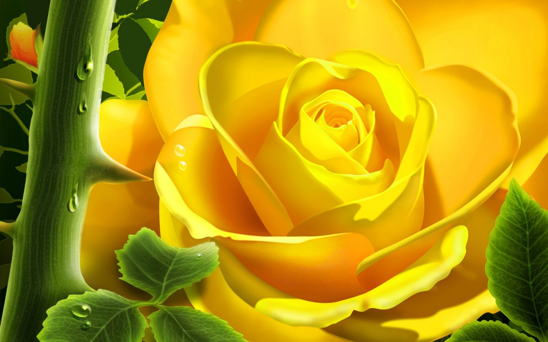 Latest Flower Wallpapers Free Download - HD Wallpaper 