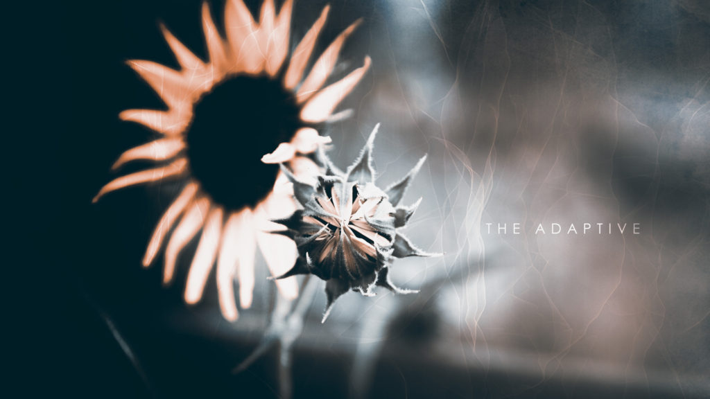 Desktop - HD Wallpaper 