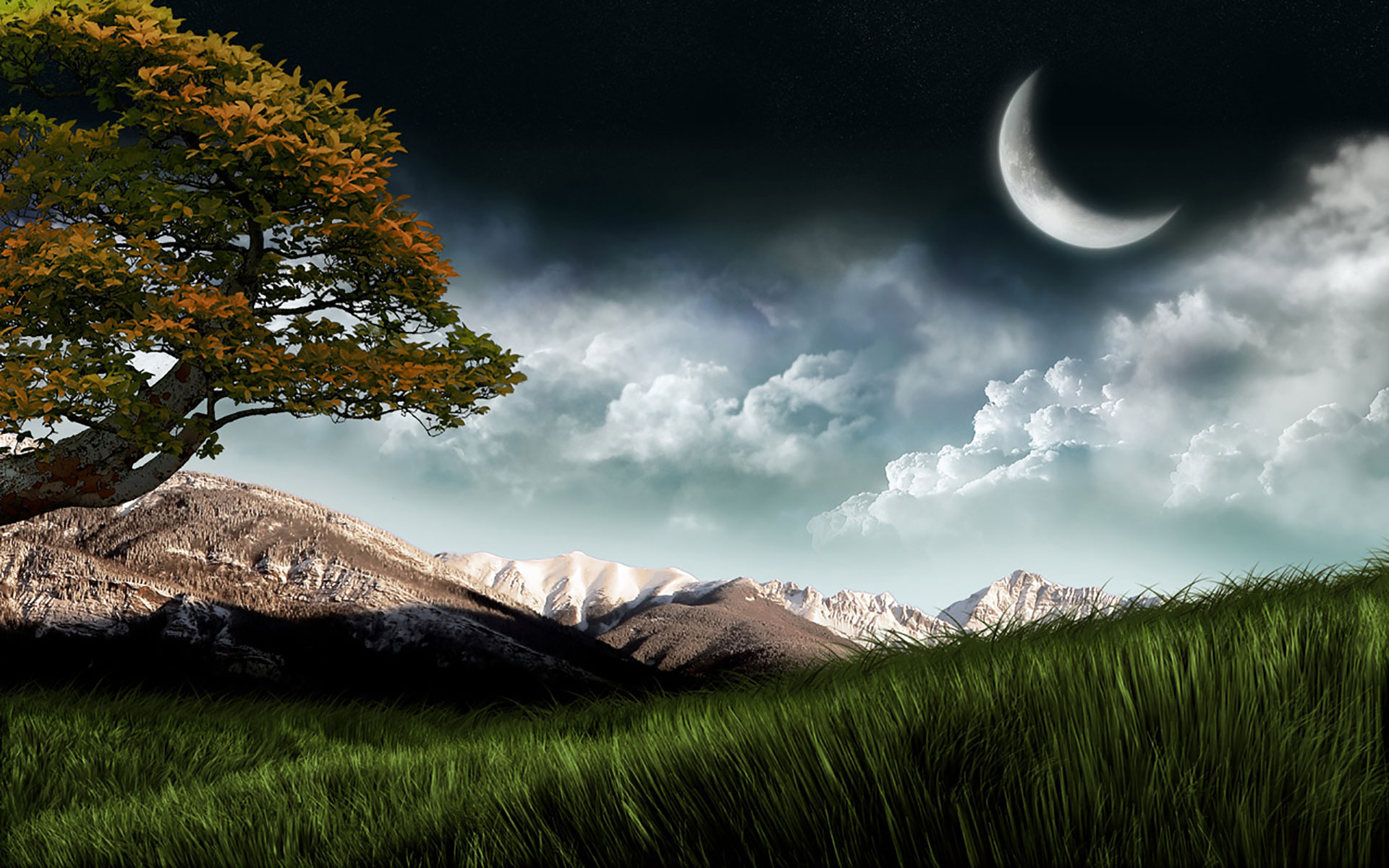 Beautiful Nature Night Hd - 1920x1200 Wallpaper 