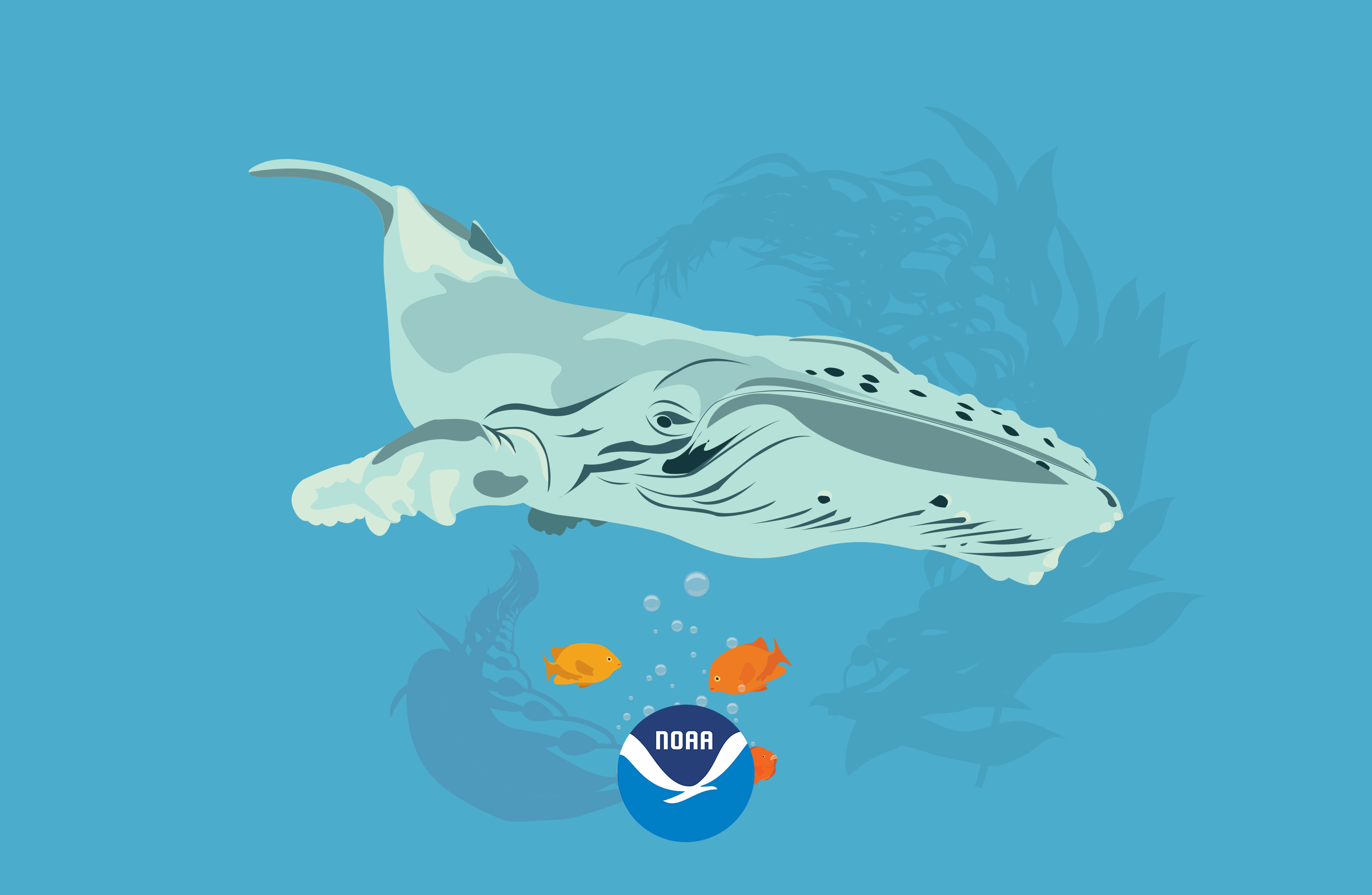 Illustration - HD Wallpaper 