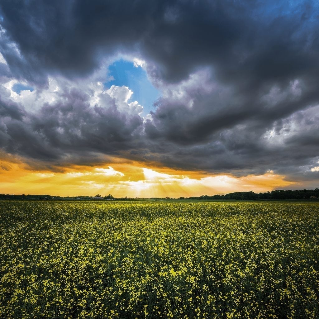 Lightroom 2.3 - HD Wallpaper 