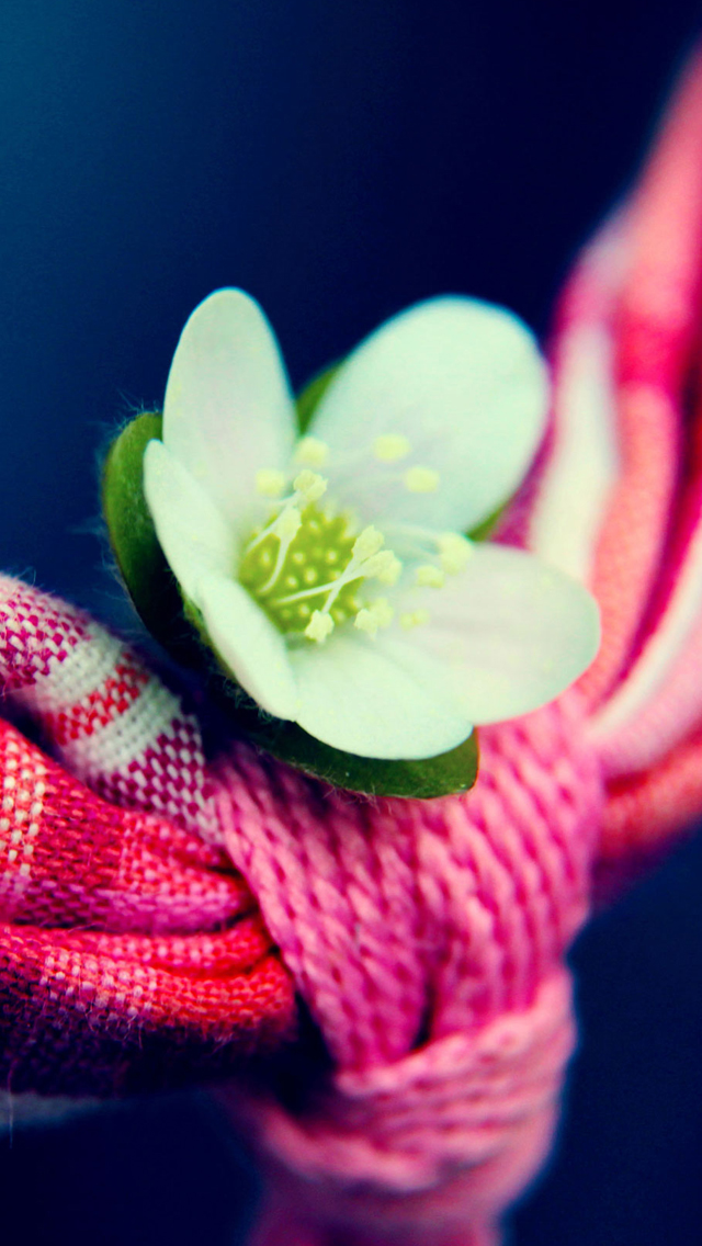 Wonderful Wallpaper For Iphone - HD Wallpaper 