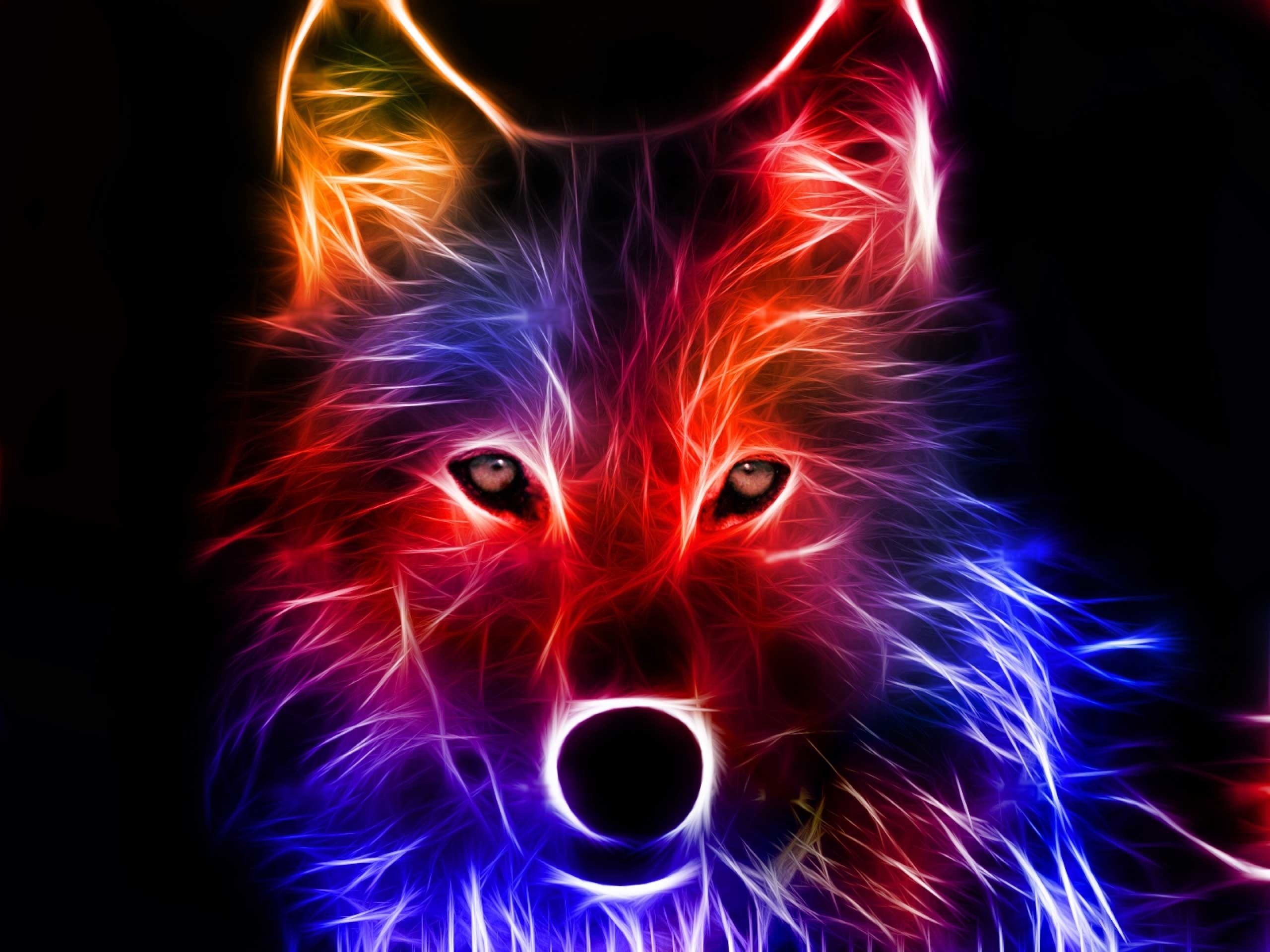2560x1920, 3d Colorful Fox Wallpaper 
 Data Id 165157 - Wolf - HD Wallpaper 
