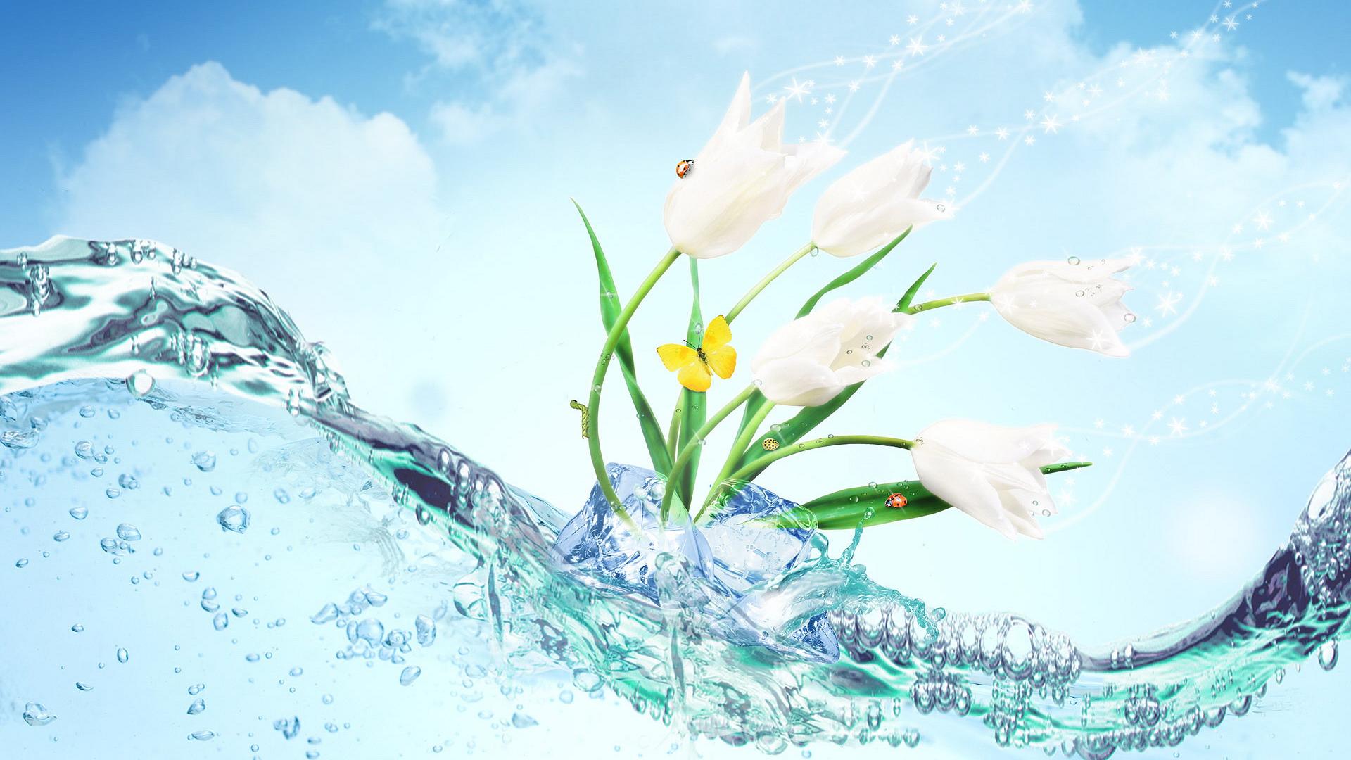 Flower Wallpaper - Flower Hd Wallpaper Widescreen - HD Wallpaper 