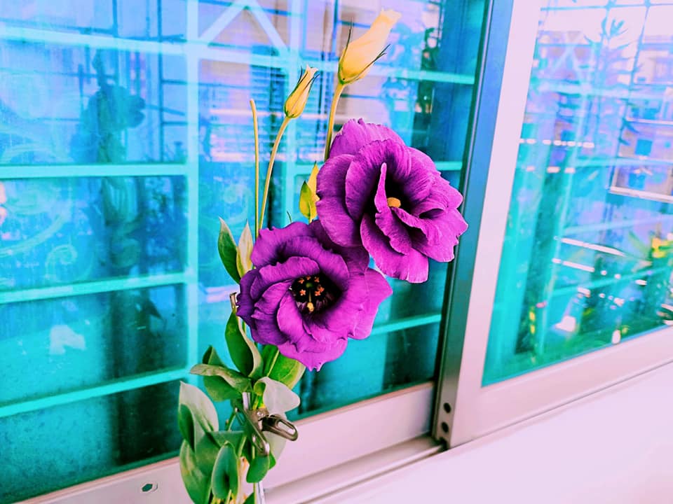 Nondini Flower Wallpaper - Flower Wallpaper Ultra Hd - HD Wallpaper 