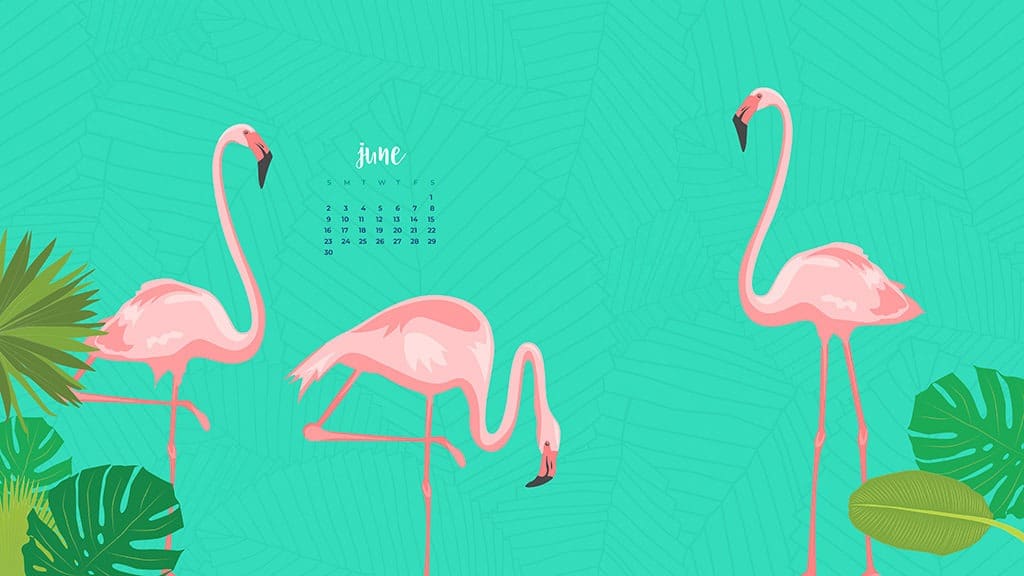Audrey Kuether Of Oh So Lovely Blog Shares 8 Fun Summery Pc Wallpaper Flamingo 1024x576 Wallpaper Teahub Io
