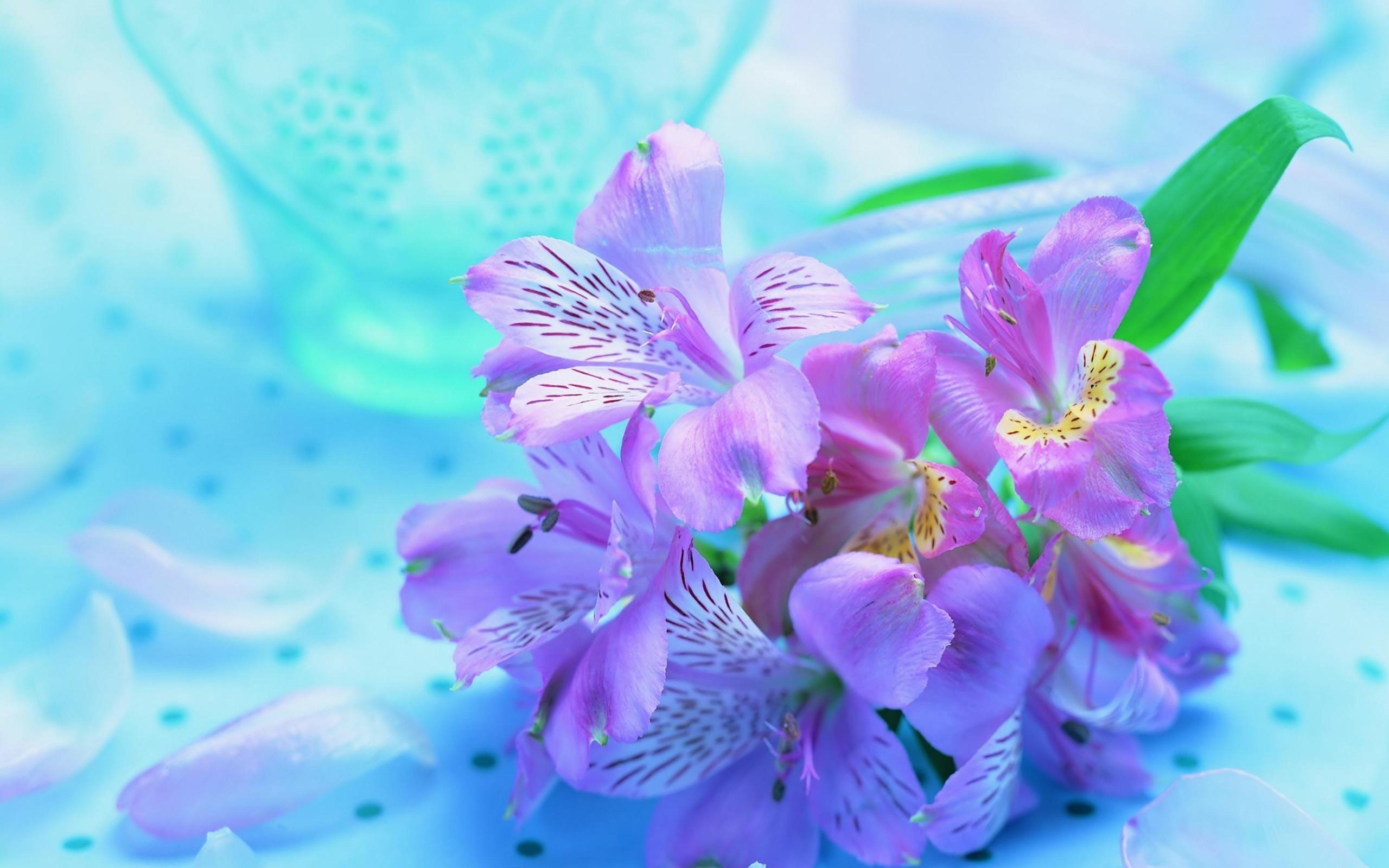 Blue And Purple Flowers Background - HD Wallpaper 