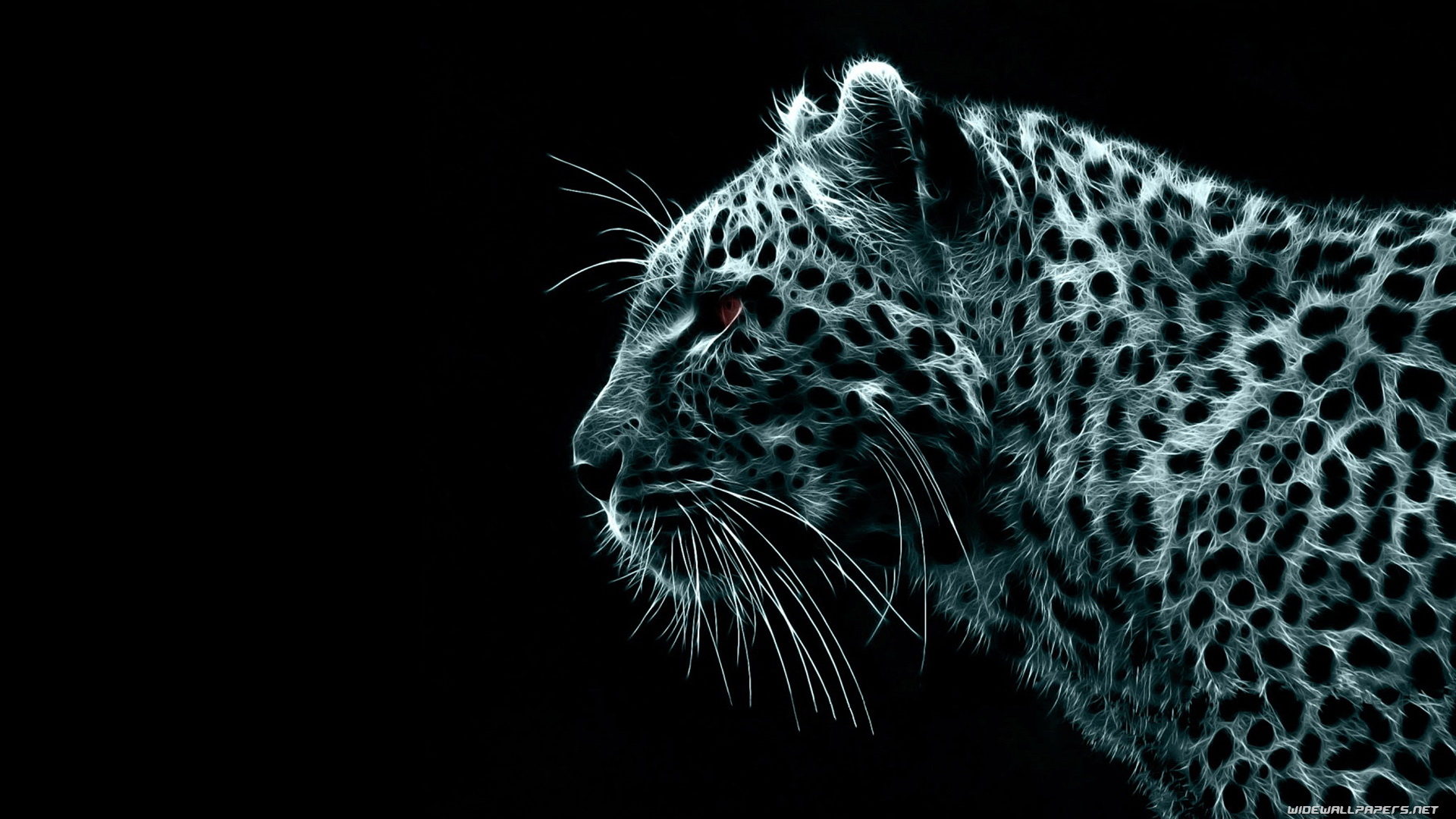 Black Tiger - HD Wallpaper 