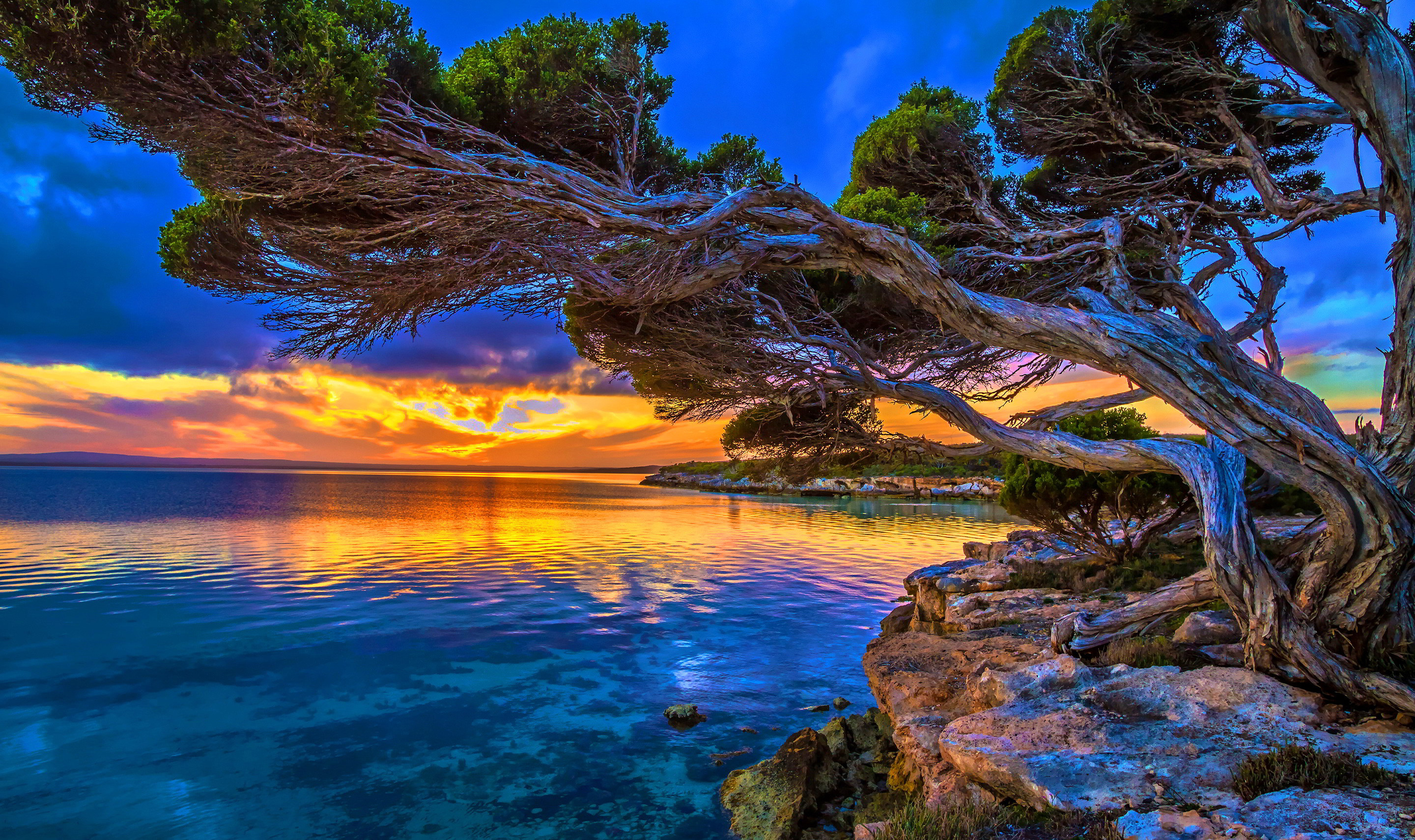 Landscape Wallpapers, Hd Desktop Images, Green, Plants, - Nature Mother Nature View - 2880x1710 Wallpaper Landscape Wallpapers, Hd Desktop Images, Green, Plants, - Nature Mother Nature View - 2880x1710 Wallpaper