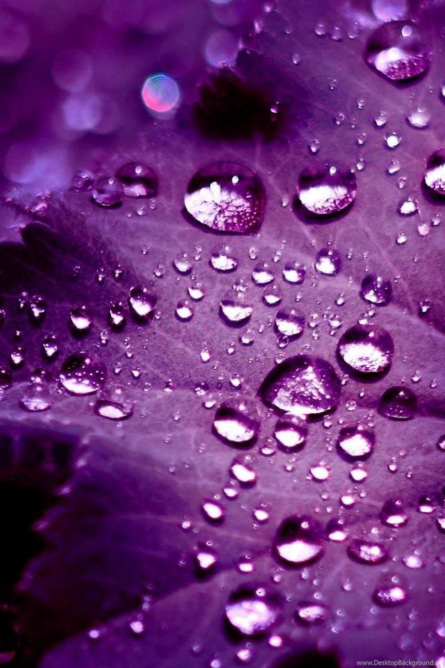 New Samsung Hd Wallpapers For Mobile - Samsung Wallpaper For Phone - 640x960 Wallpaper New Samsung Hd Wallpapers For Mobile - Samsung Wallpaper For Phone - 640x960 Wallpaper