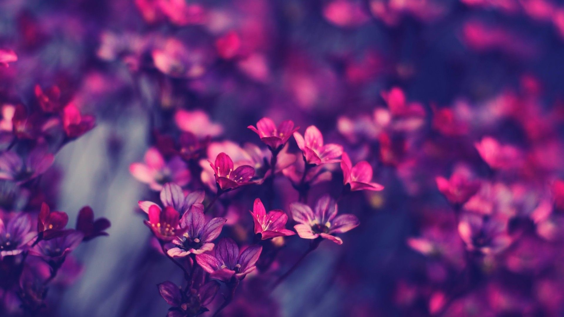 Desktop Hd - HD Wallpaper 