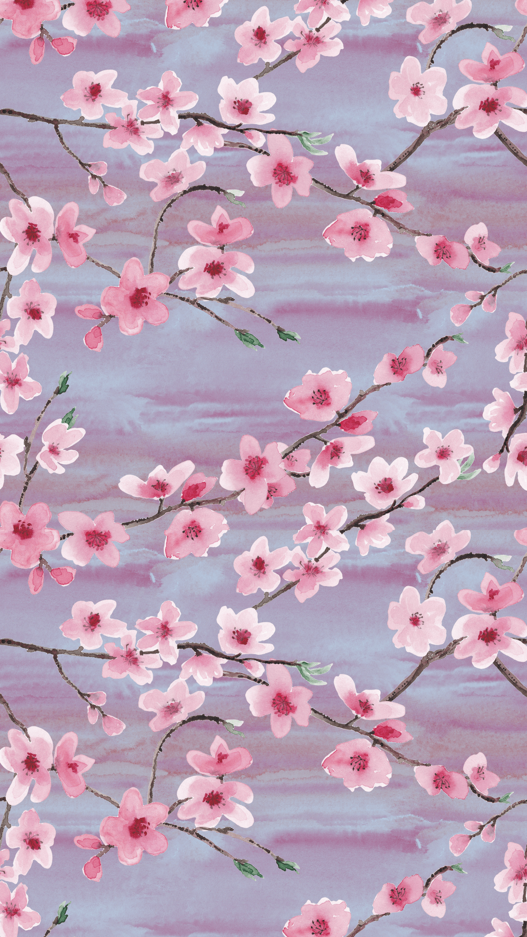 Cherry Blossom Smart Phone Wallpaper - Cherry Blossom Phone Background - HD Wallpaper 