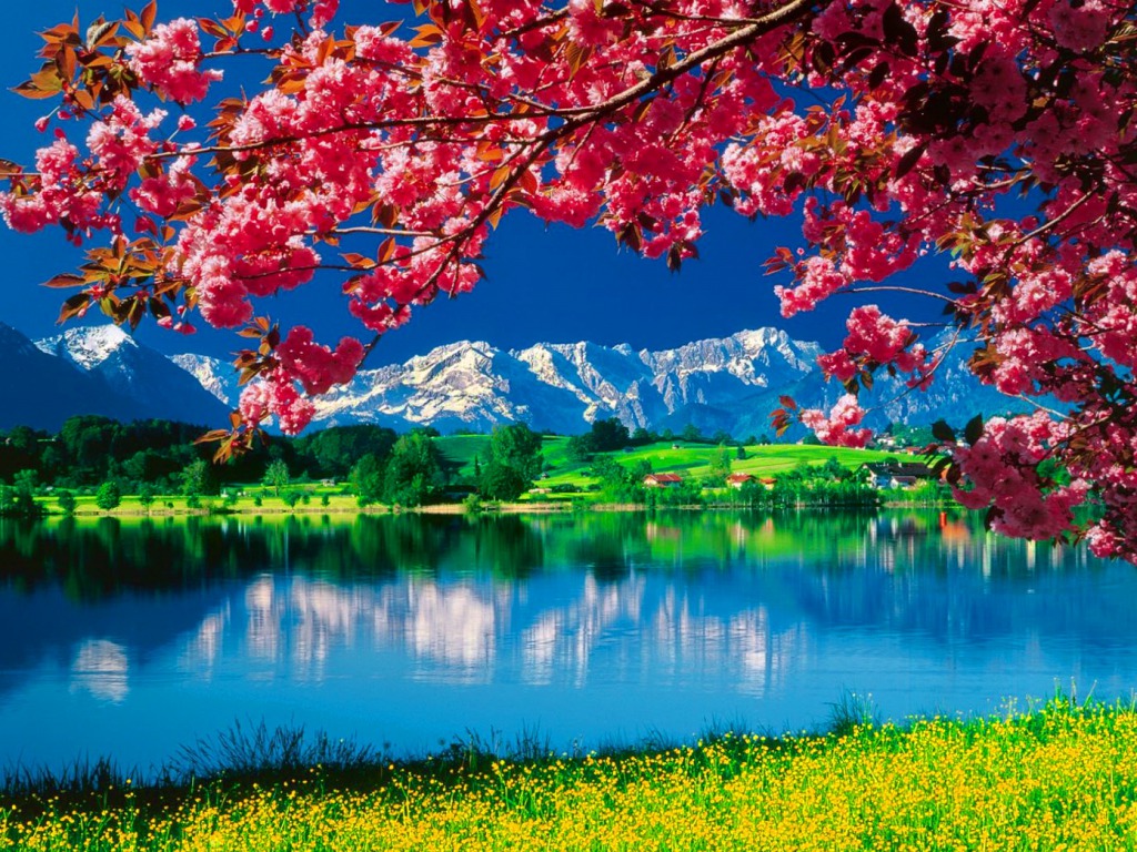 Nature Wallpaper - Beautiful Wallpapers Of Nature For Desktop Free Download - HD Wallpaper 