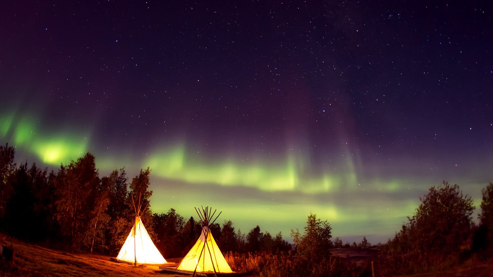 Night Sky Forest Hd - HD Wallpaper 