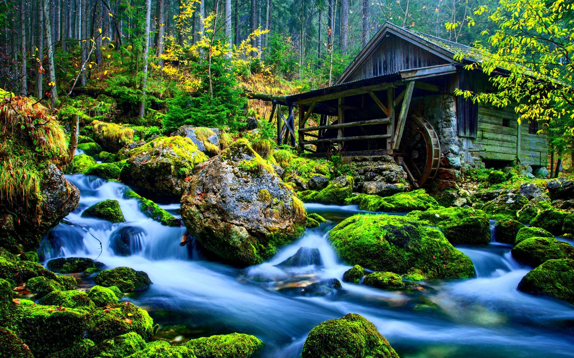 Nature Wallpaper - Download Wallpapers Of Nature 3d - HD Wallpaper 