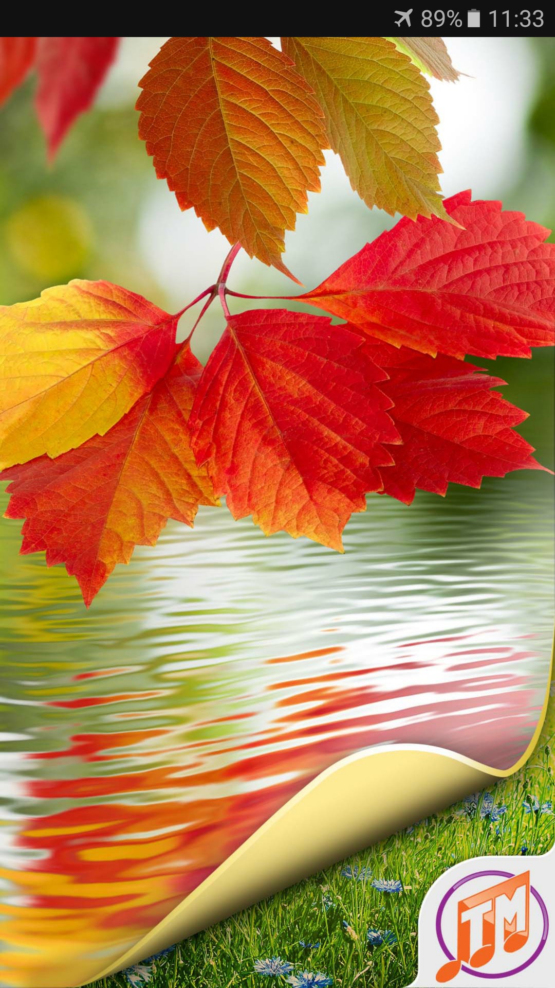 Nature Wallpaper Hd Free - Vivo Nature Wallpaper Hd - 1080x1920 Wallpaper - Nature Wallpaper Hd Free - Vivo Nature Wallpaper Hd - 1080x1920 Wallpaper -