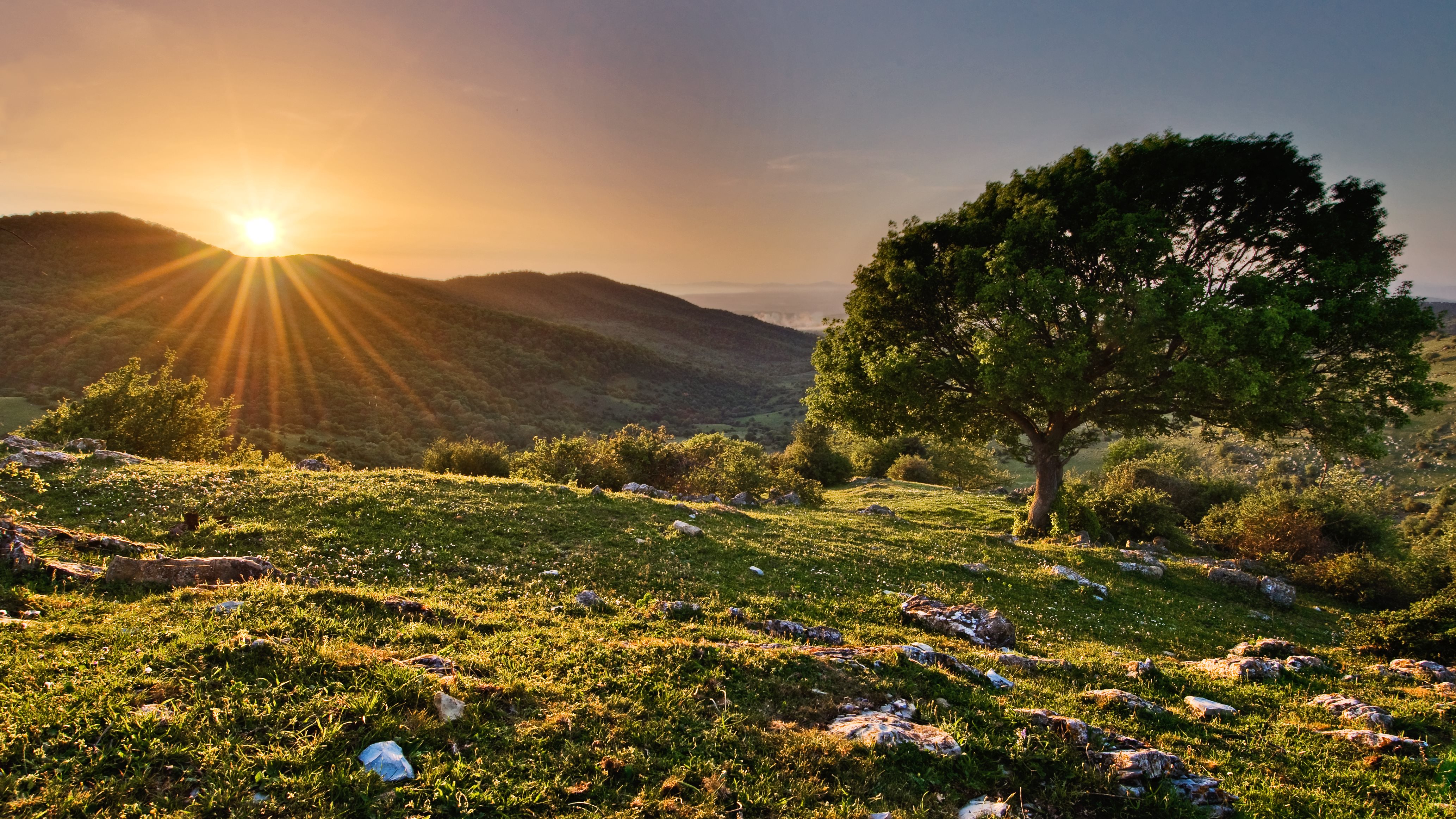 Positivity Quotes Helen Keller - HD Wallpaper 