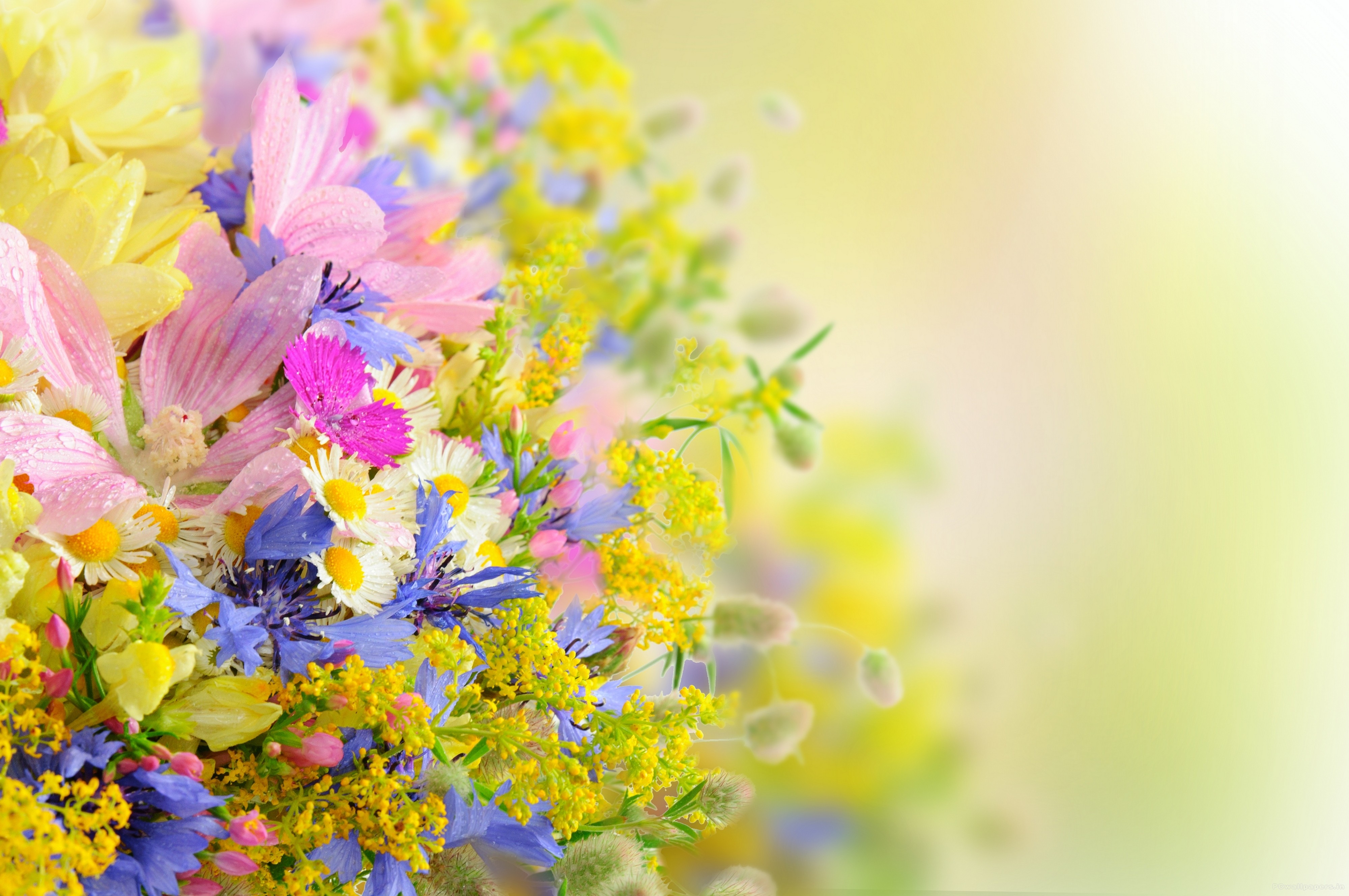 Tumblr Backgrounds Flowers - Full Hd Beautiful Flower - 4000x2657 Wallpaper  