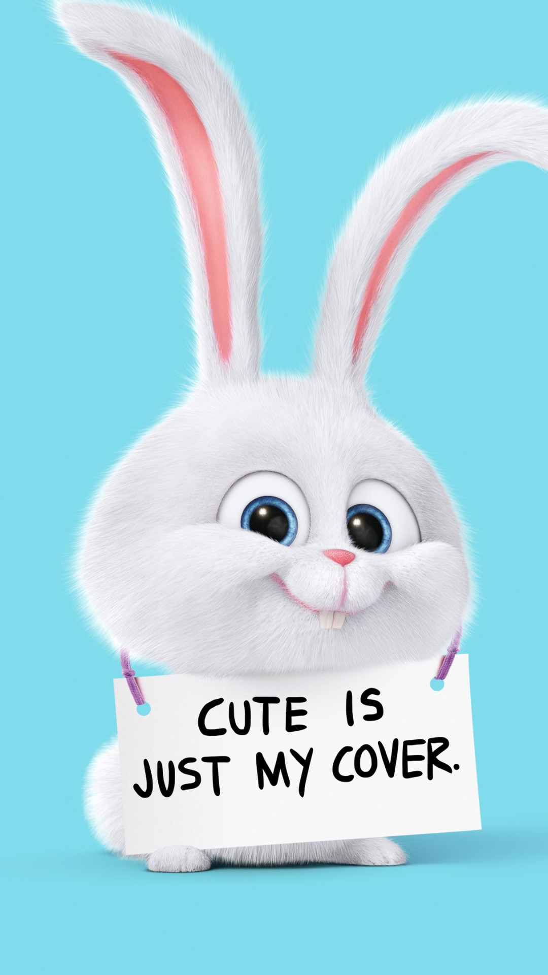 Cute White Rabbit Cartoon - HD Wallpaper 