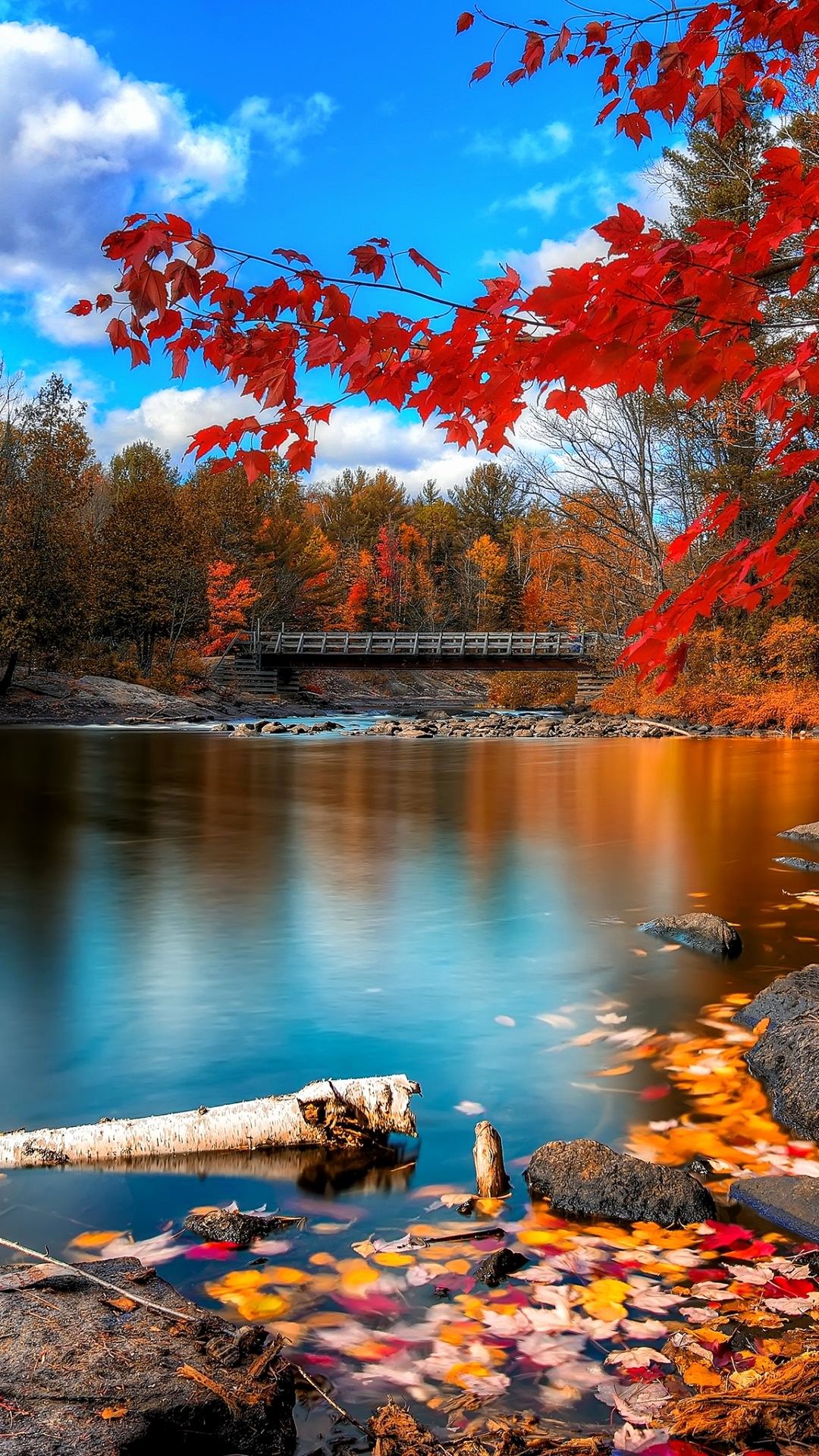 Wallpaper For Phone Beautiful 4k Phone Wallpapers 57 - Beautiful 4k Wallpaper Phone - 1080x1920 Wallpaper Wallpaper For Phone Beautiful 4k Phone Wallpapers 57 - Beautiful 4k Wallpaper Phone - 1080x1920 Wallpaper