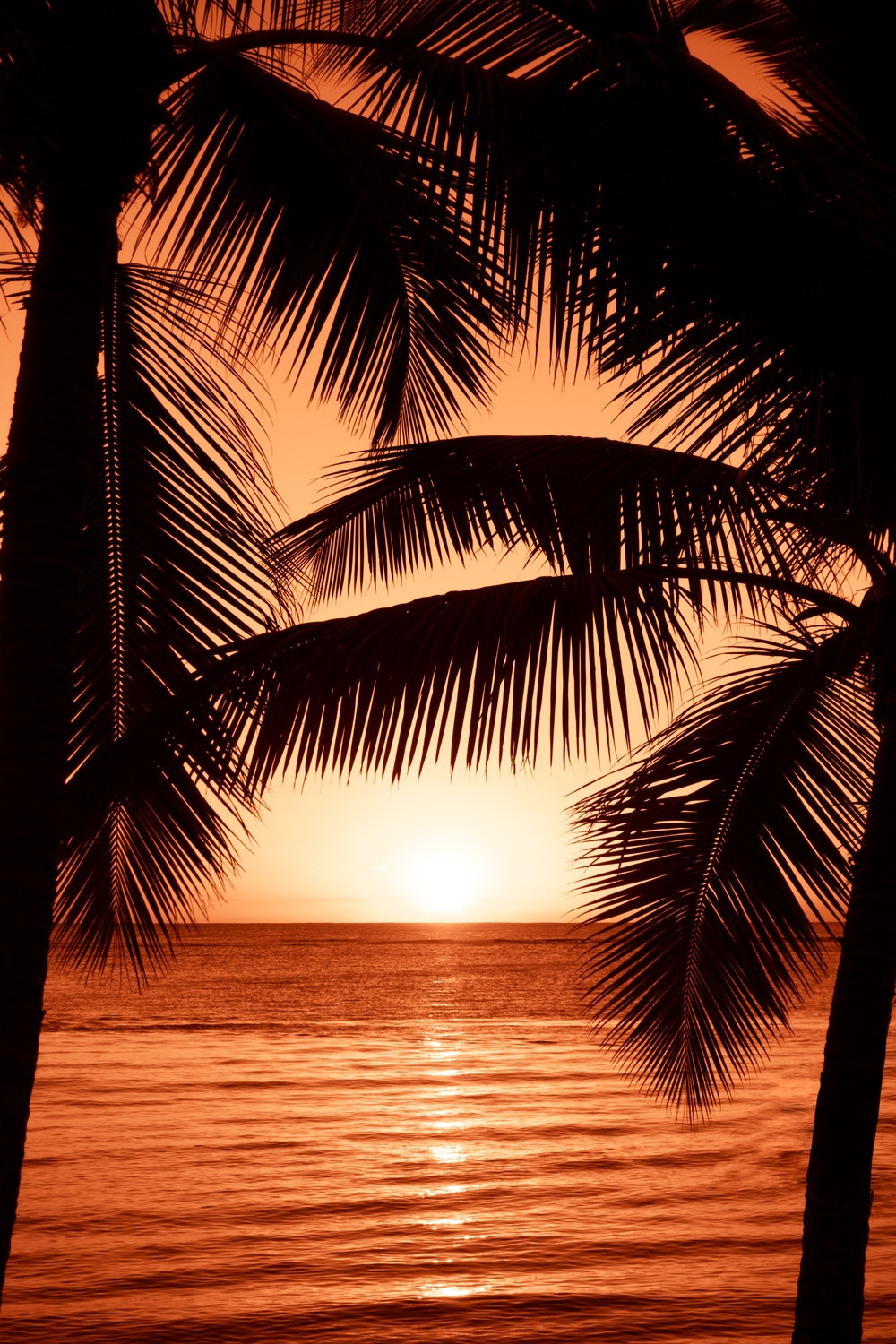 Wallpaper Images - Best Wallpaper Ever Seen - HD Wallpaper 
