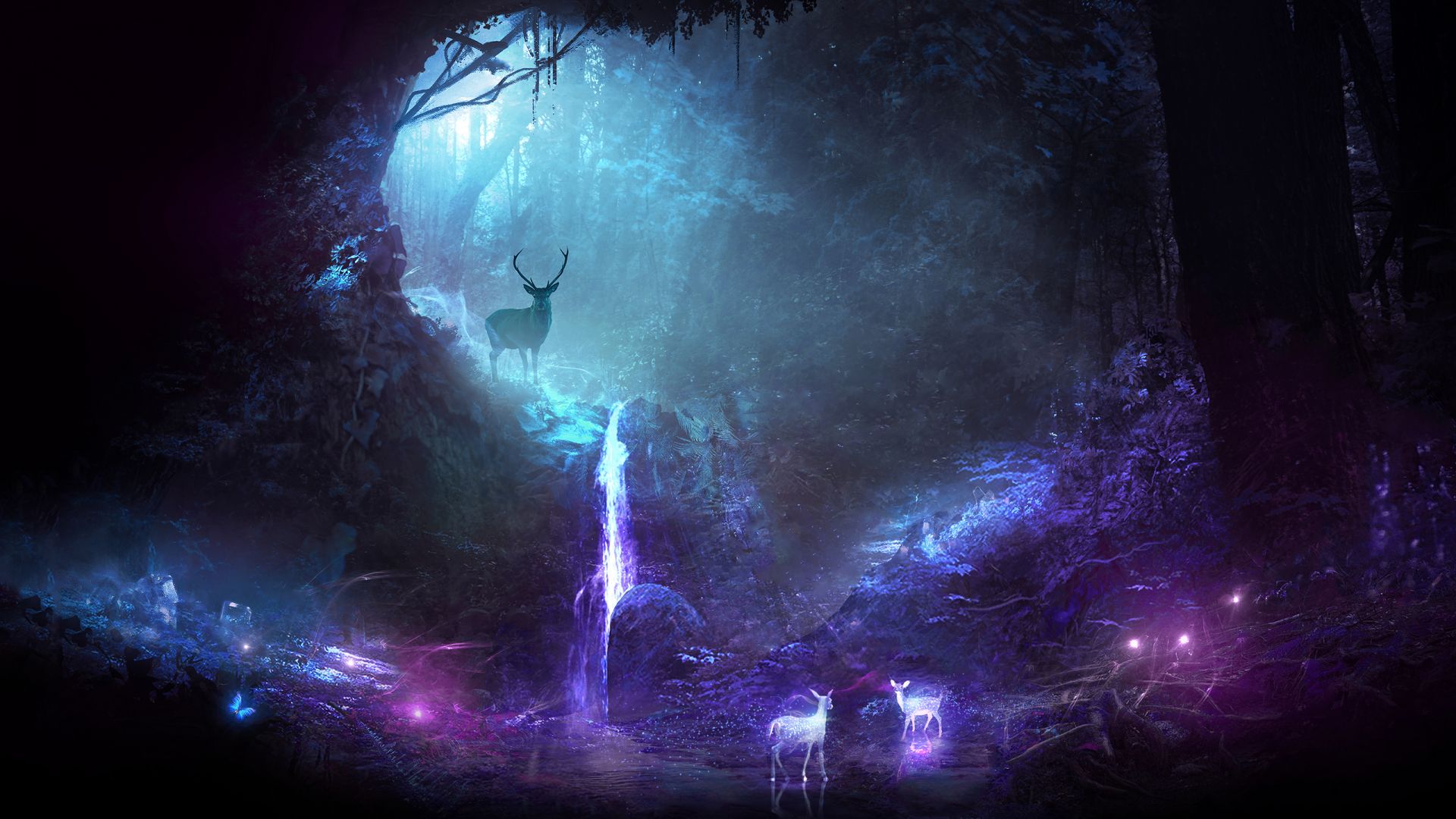 Night Fantasy - HD Wallpaper 