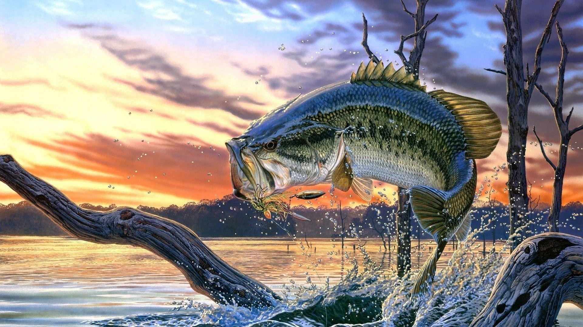 Largemouth Bass Fishing Wallpaper Backgrounds Screensaver - Bass Fishing Background - HD Wallpaper 