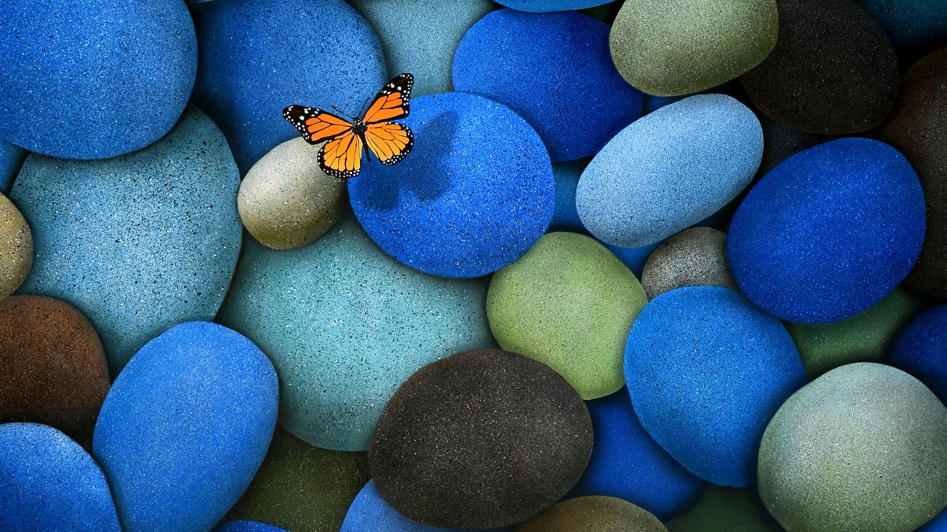 Butterfly Desktop - HD Wallpaper 