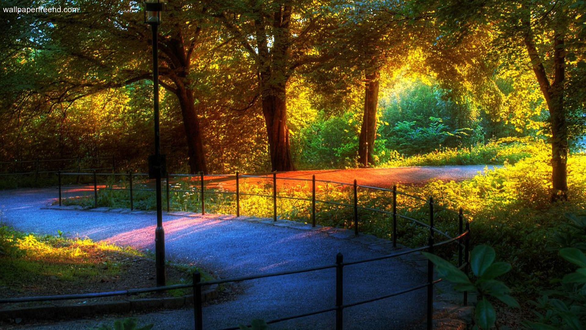 Wallpaper Images Download - Wall Paper Download - HD Wallpaper 