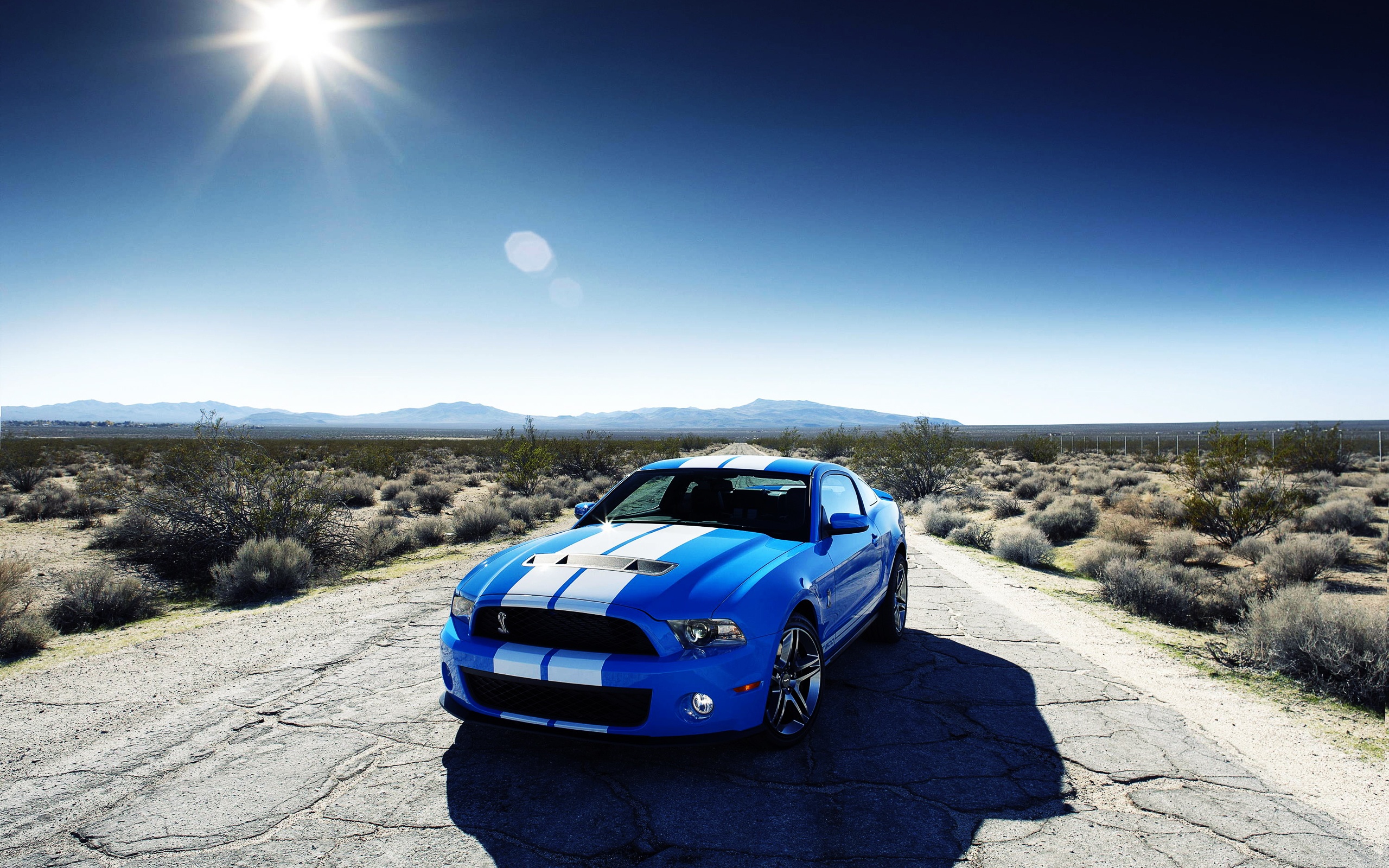 Car Wallpaper - Ford Mustang Hd Background - HD Wallpaper 