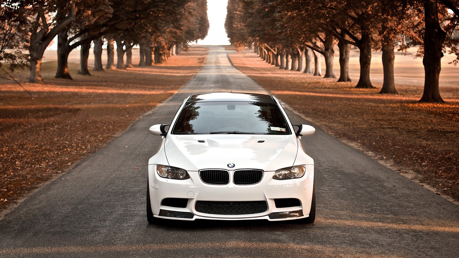 Bmw Cars Wallpapers Hd Free Download Hd Wallpapers, - Hd Wallpaper Pc Bmw - HD Wallpaper 