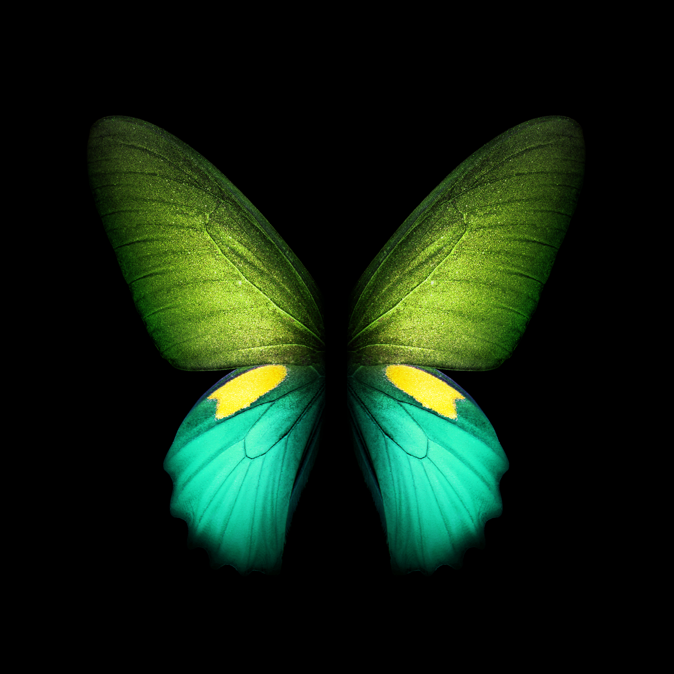 Galaxy Fold - HD Wallpaper 