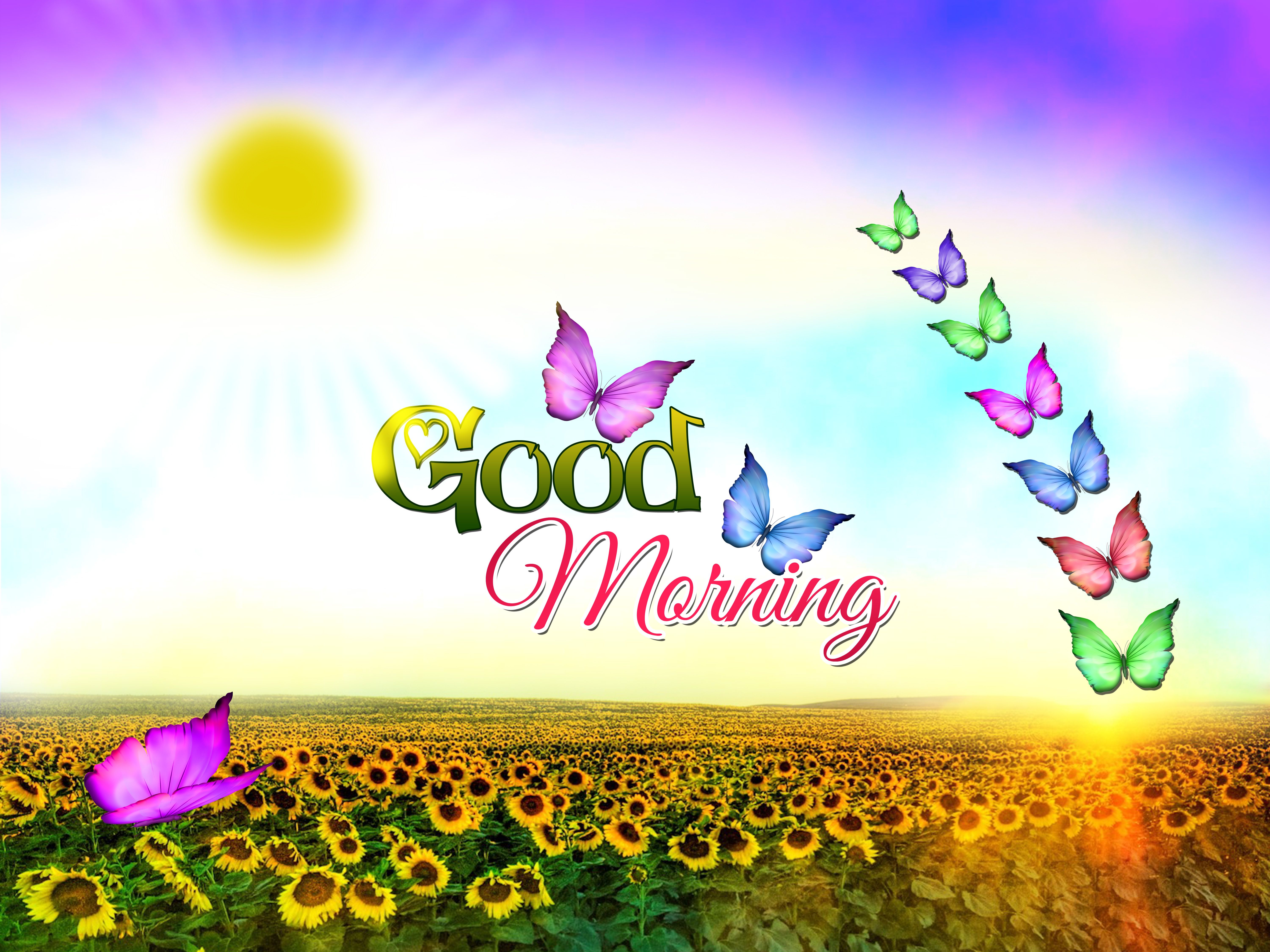 Good Morning Wallpaper Hd Download - HD Wallpaper 