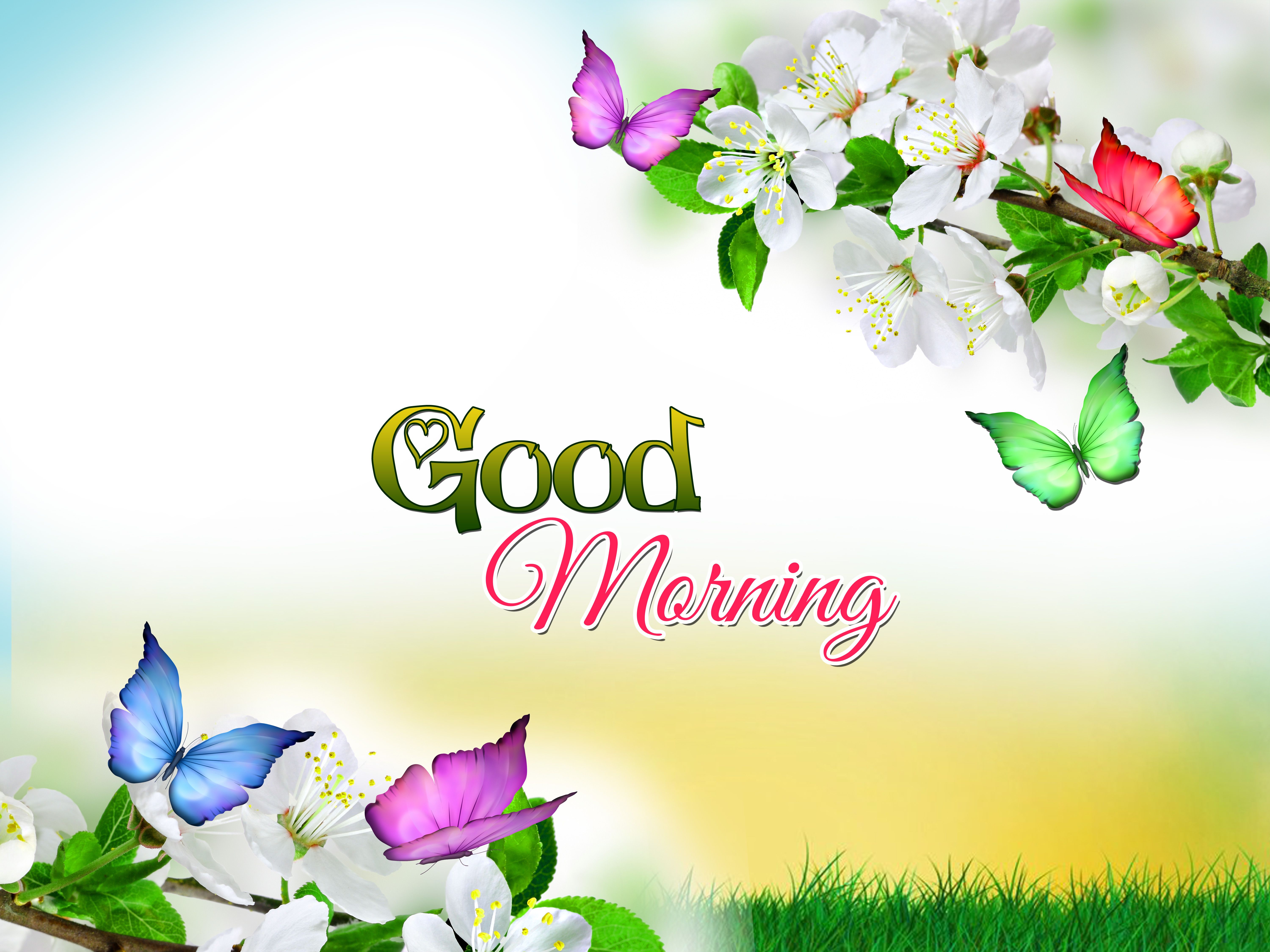 Good Morning Image Full Hd Download - HD Wallpaper 