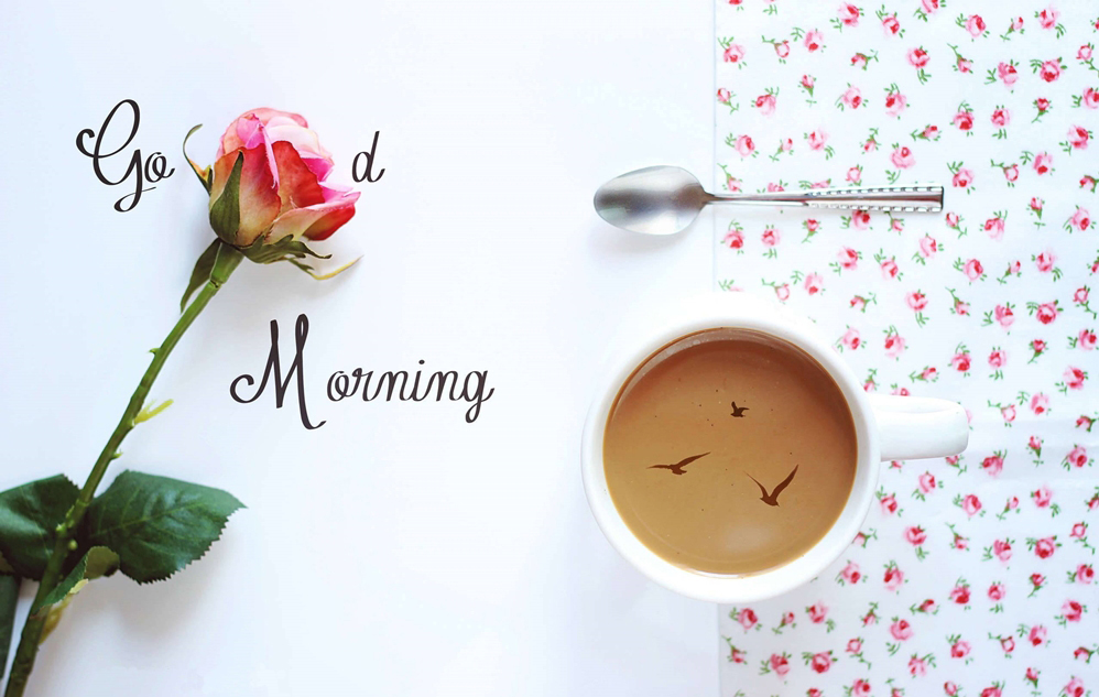 Awesome Good Morning Hd Wallpapers, Greetings & Quotes - Rose Good Morning Coffee - HD Wallpaper 