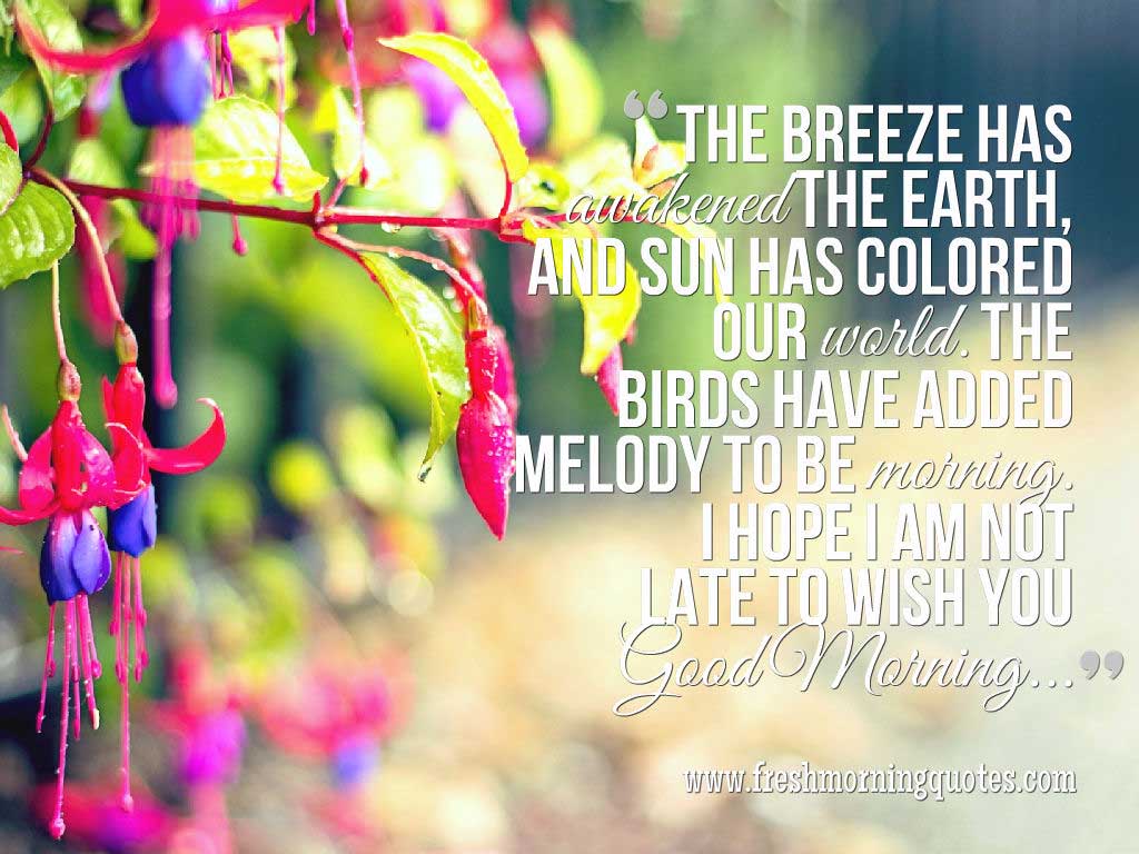 Good Morning Images With Quotes - Beautiful Good Mornings Sun - HD Wallpaper 