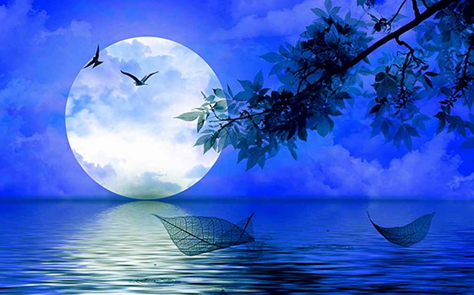 Full Moon Wallpaper - Nature - HD Wallpaper 