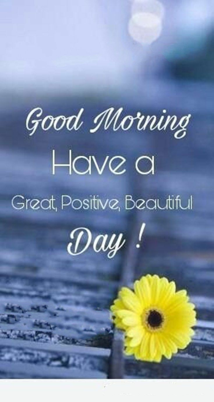 Positive Good Morning Messages - 735x1381 Wallpaper 