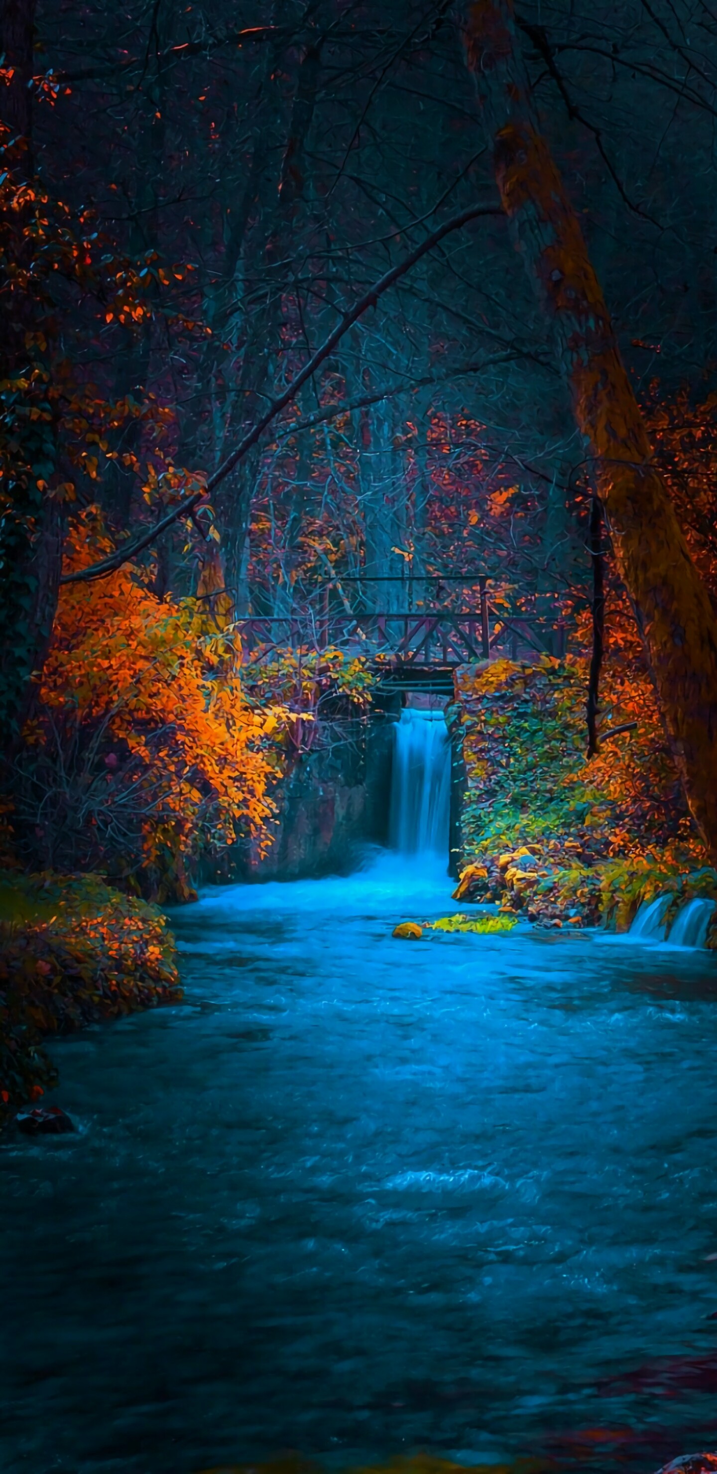 Hd Wallpaper 107 - Note 9 Wallpaper Nature - 1440x2960 Wallpaper