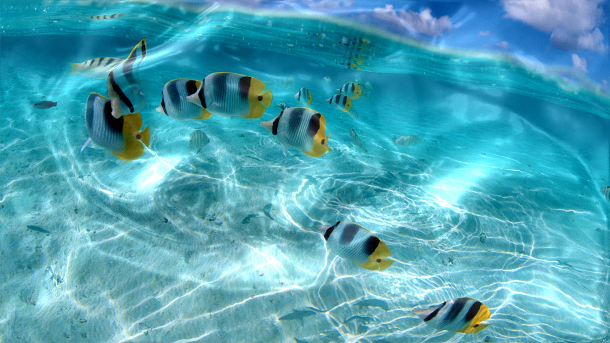 3d Animated Moving Wallpapers For Desktop - 1280x720 Wallpaper 3d Animated Moving Wallpapers For Desktop - 1280x720 Wallpaper