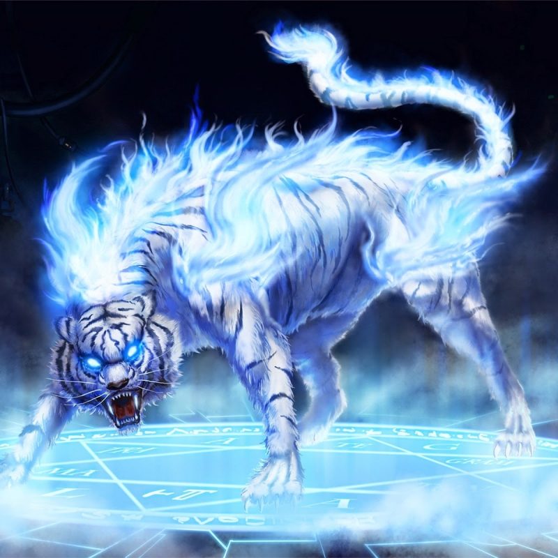 Animated Wallpaper - Fire Animals - HD Wallpaper 